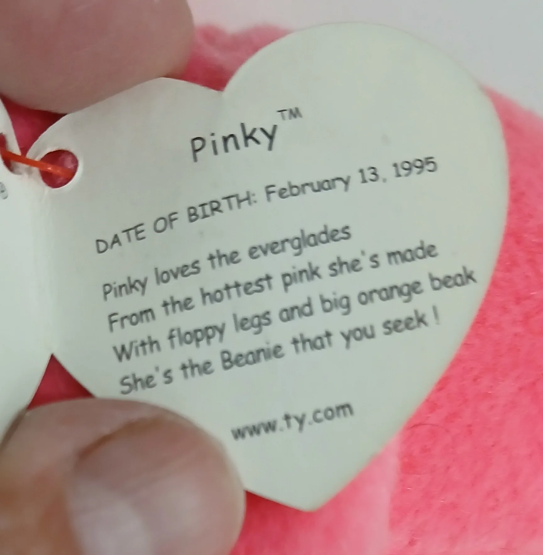 Stocking Stuffers,Ty Beany Babies w Birth Tags,Like new,$15 each image indicator(9)