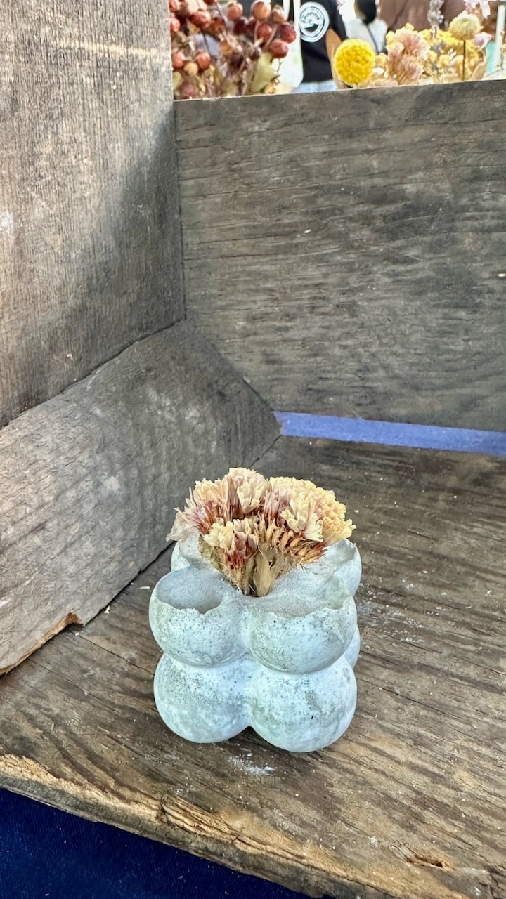 Mini Bubble Planter with Dried Flowers