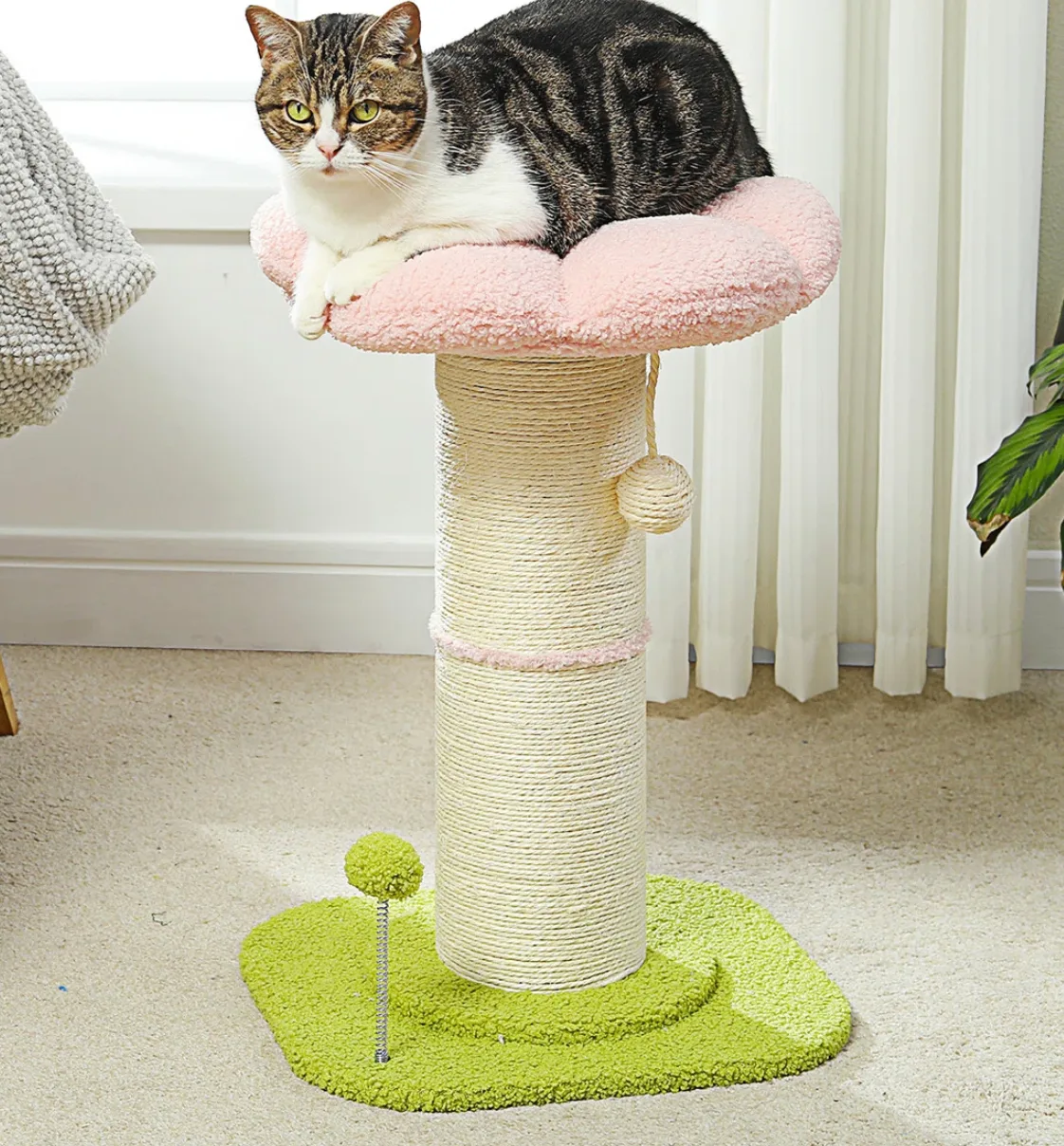 New Flower Cat Tree and Scratching Post