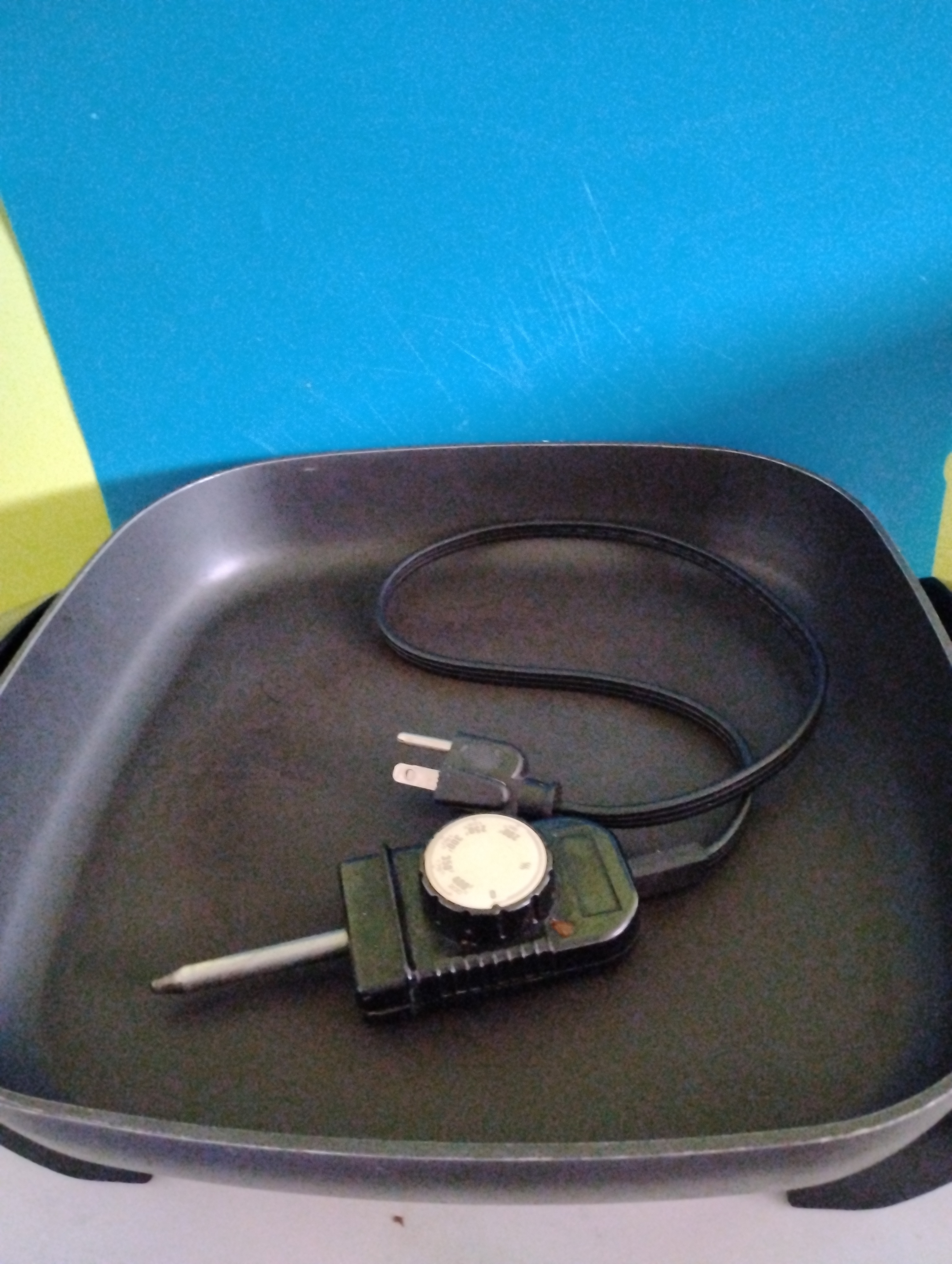 Electric Skillet with Temperature Control