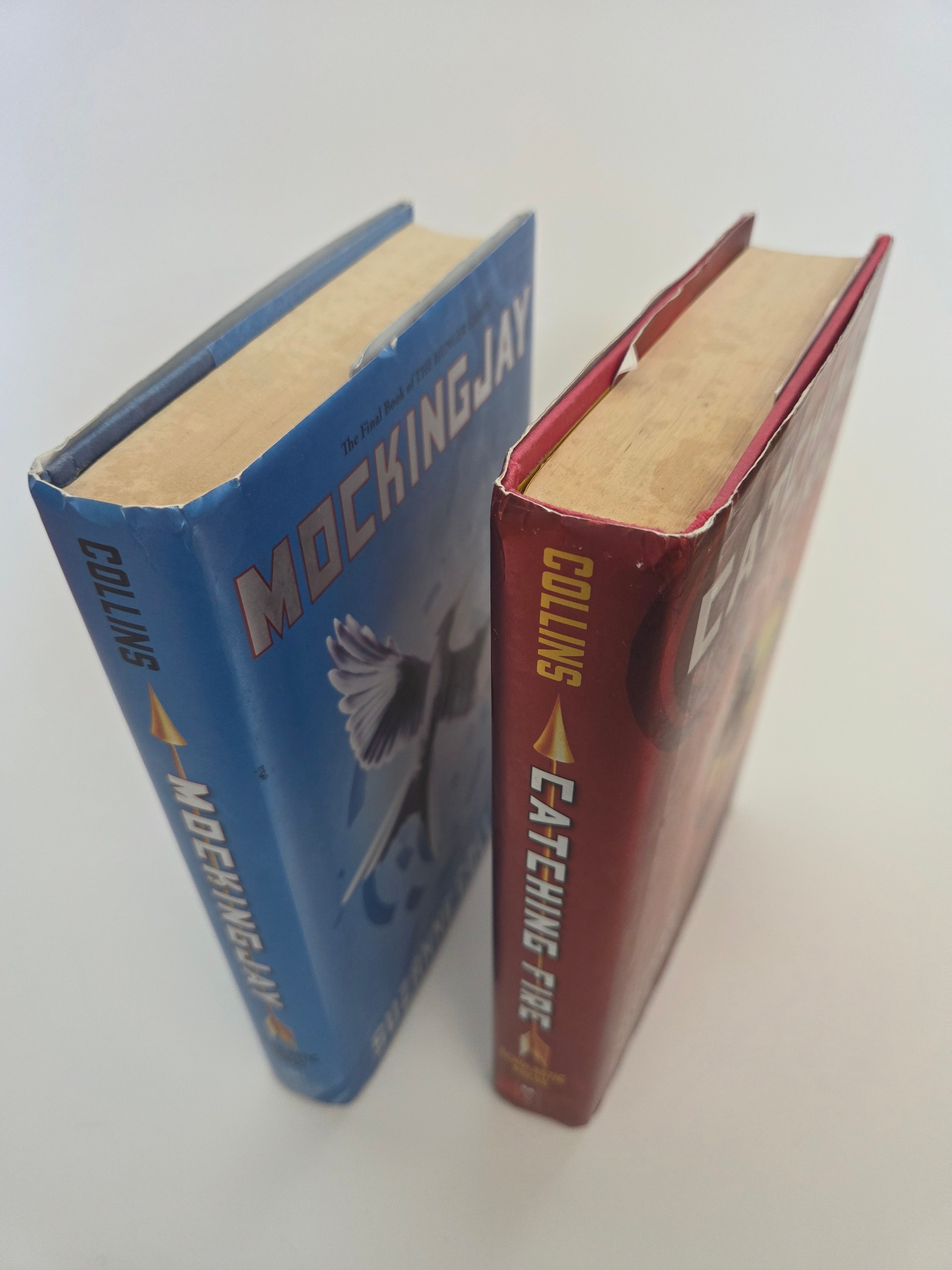 Hunger Games: Catching Fire & Mockingjay Hardcovers - photo 3