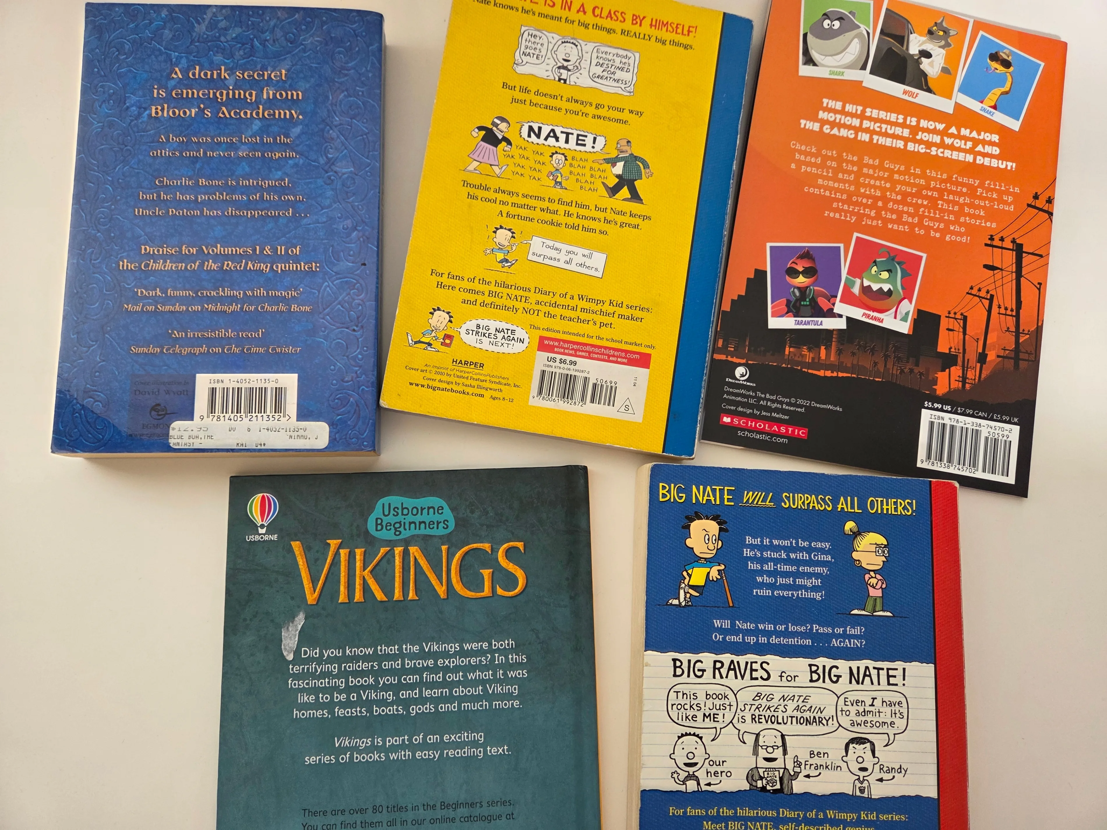 Kids Book Bundle: Big Nate, Blue Boa, Vikings (5) image indicator(2)