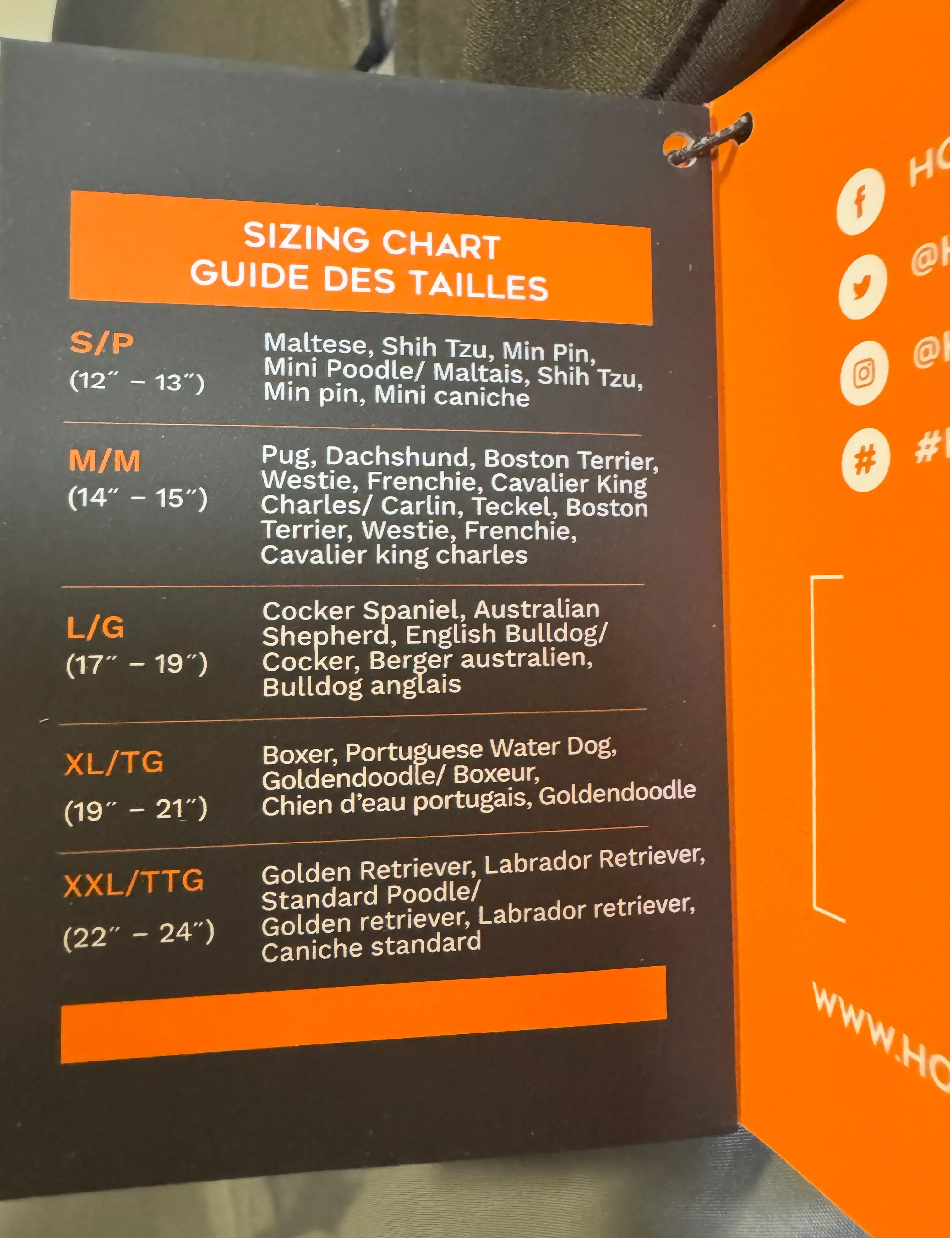 Warm and Cozy Dog Winter Jacket-Keep Your Pup Comfortable(Grey) image indicator(9)