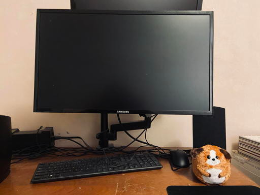 24" Samsung computer monitor