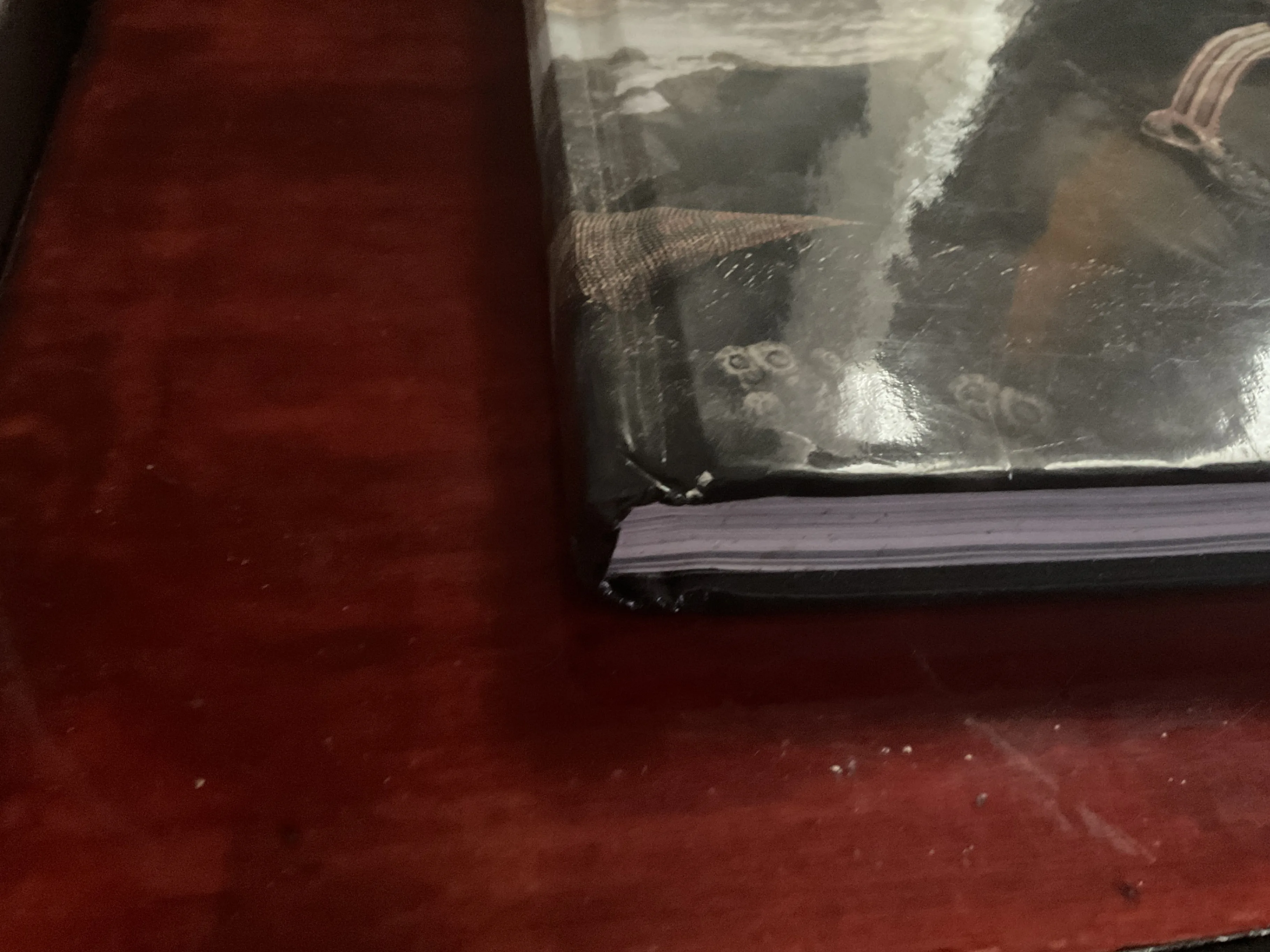 Tomb Raider Limited Edition Book image indicator(3)