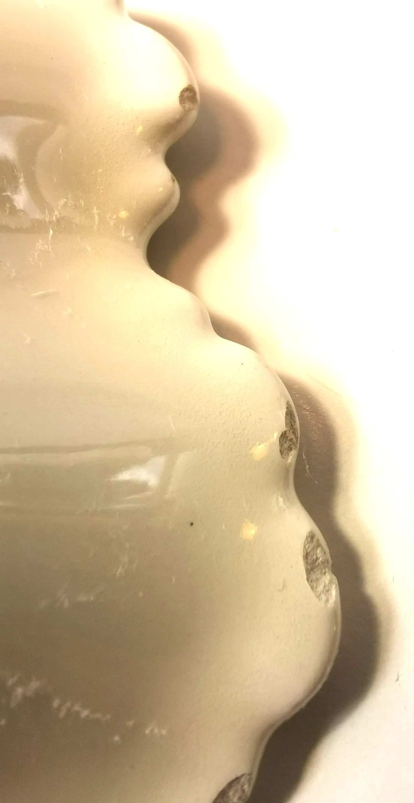 Candy Dish Limoge France Botanical Vintage Porcelain image indicator(6)