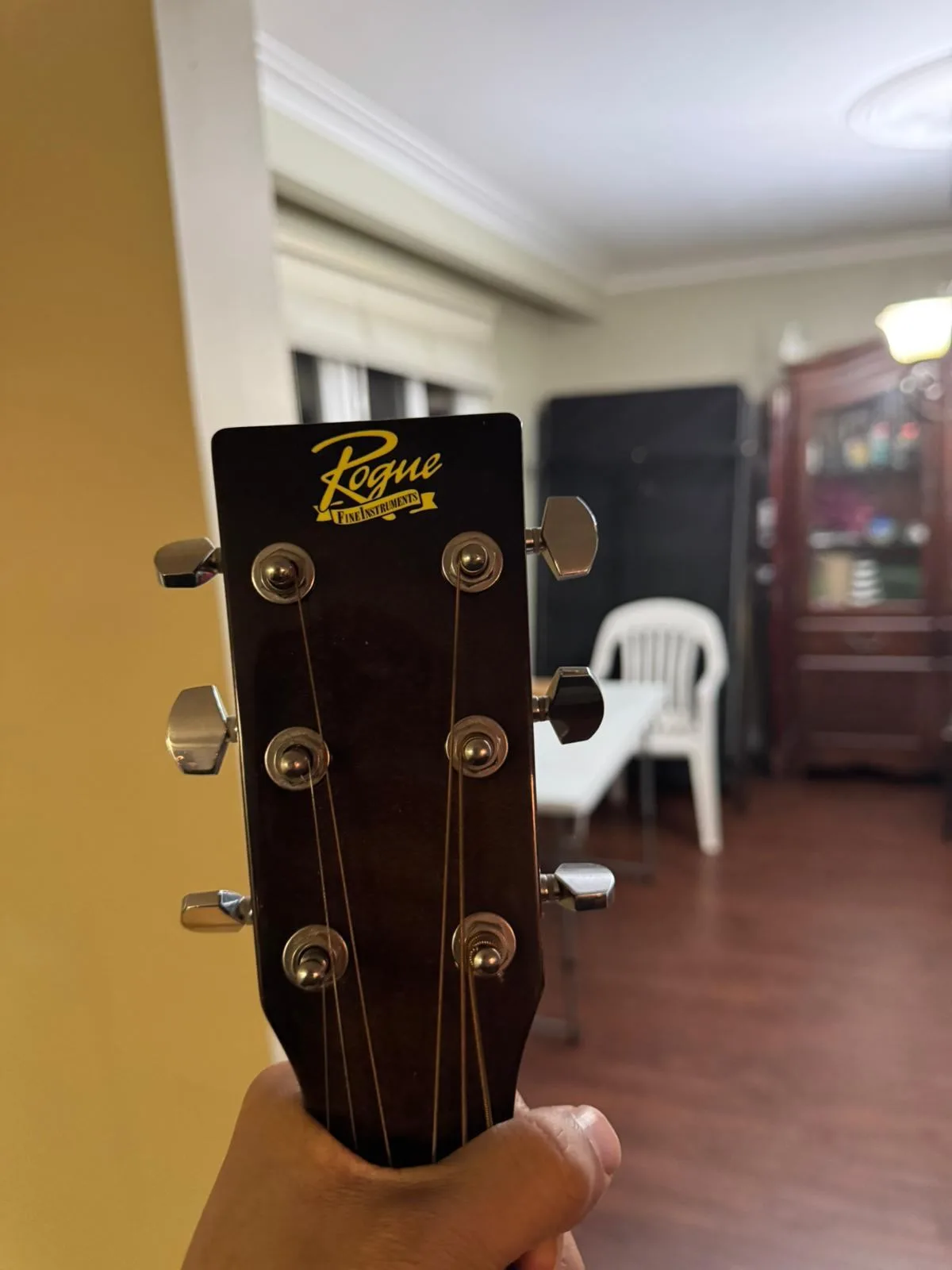 Rogue Fine Instruments Acoustic Guitar image indicator(2)