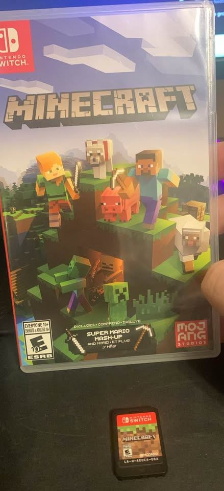 Minecraft Nintendo Switch Game
