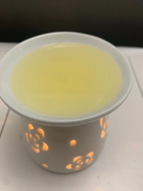 Scented Soy Wax Melts $8 Each or 3 Packages for $20 image indicator(2)