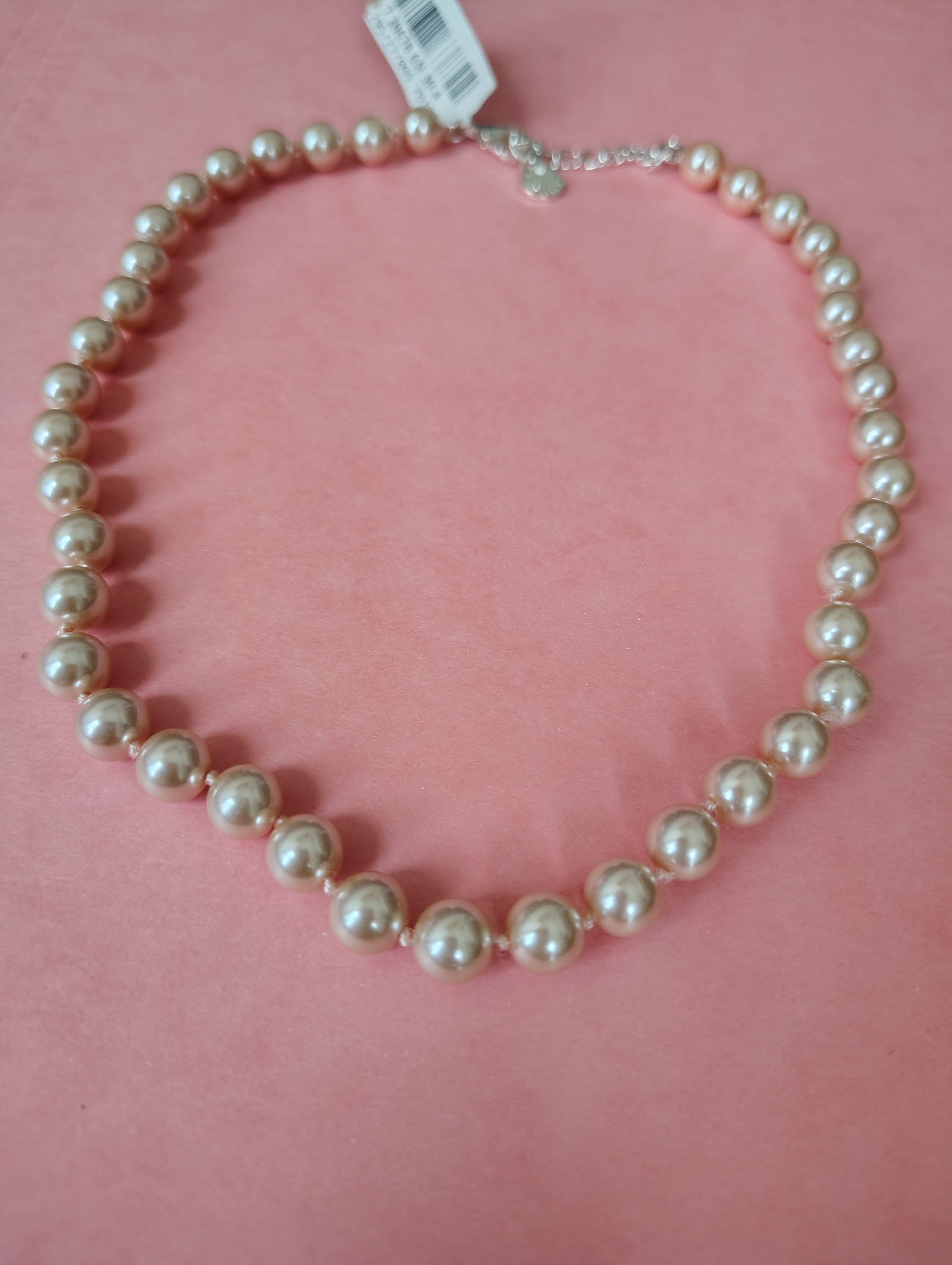 NEW NECKLACE- Charter Club (Macy's US price tag, Sale)