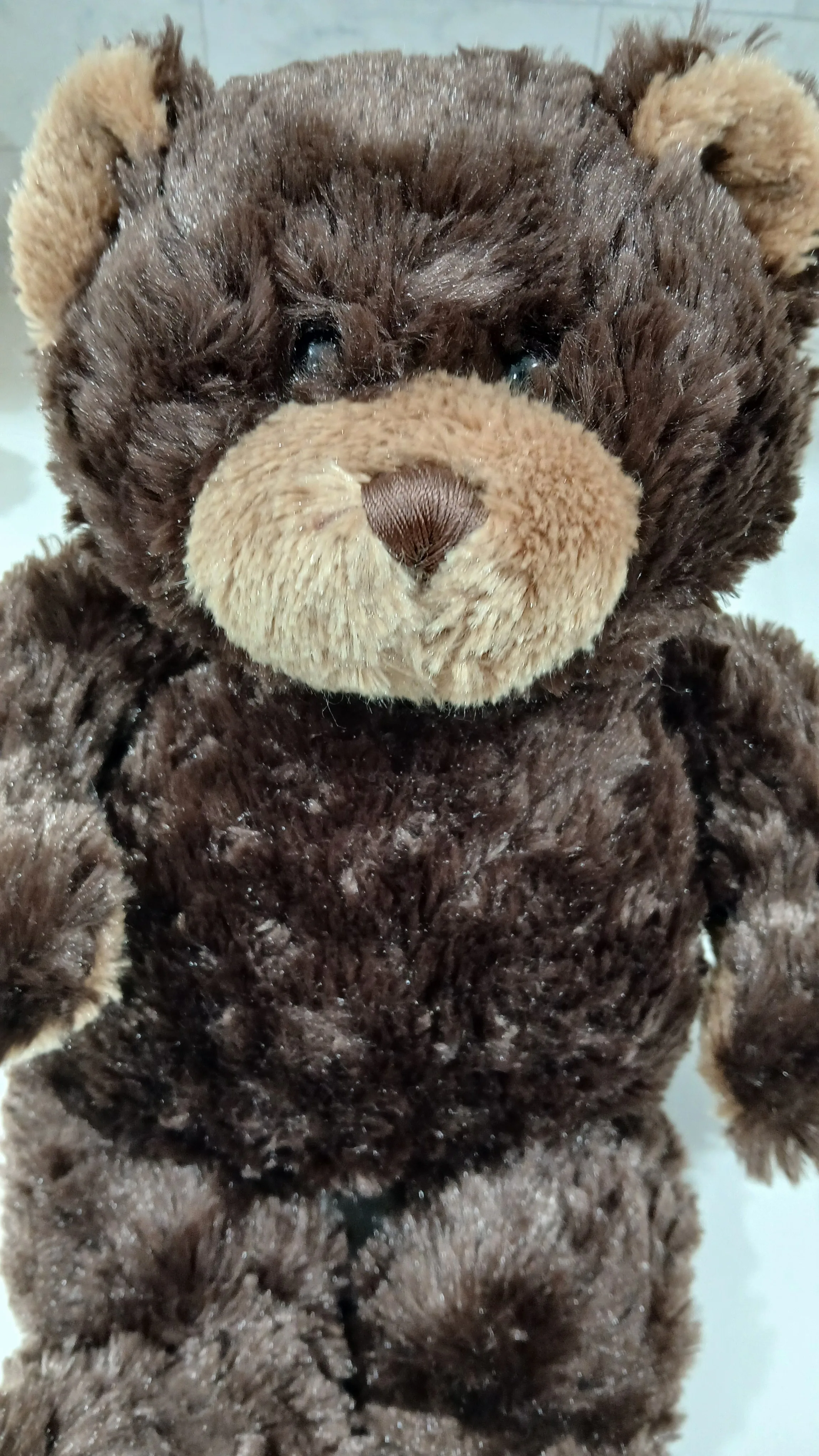 Ganz Teddy Bear 14 in. Soft & Clean, #cleanout image indicator(6)