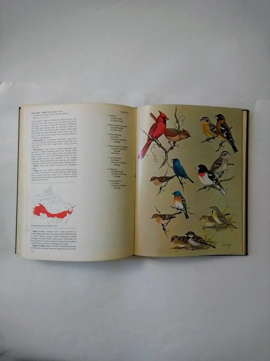 The Birds of Canada! image indicator(7)