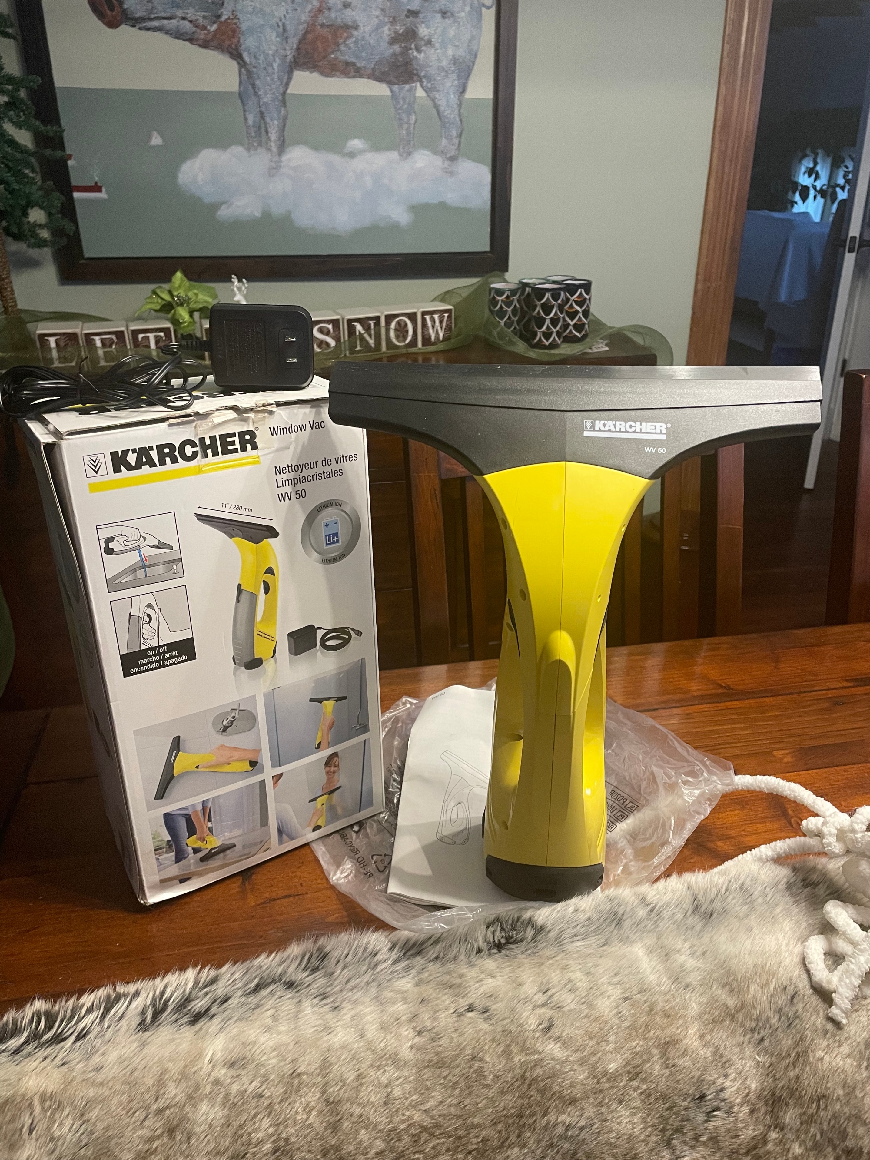 Karcher Window Washer Vac
