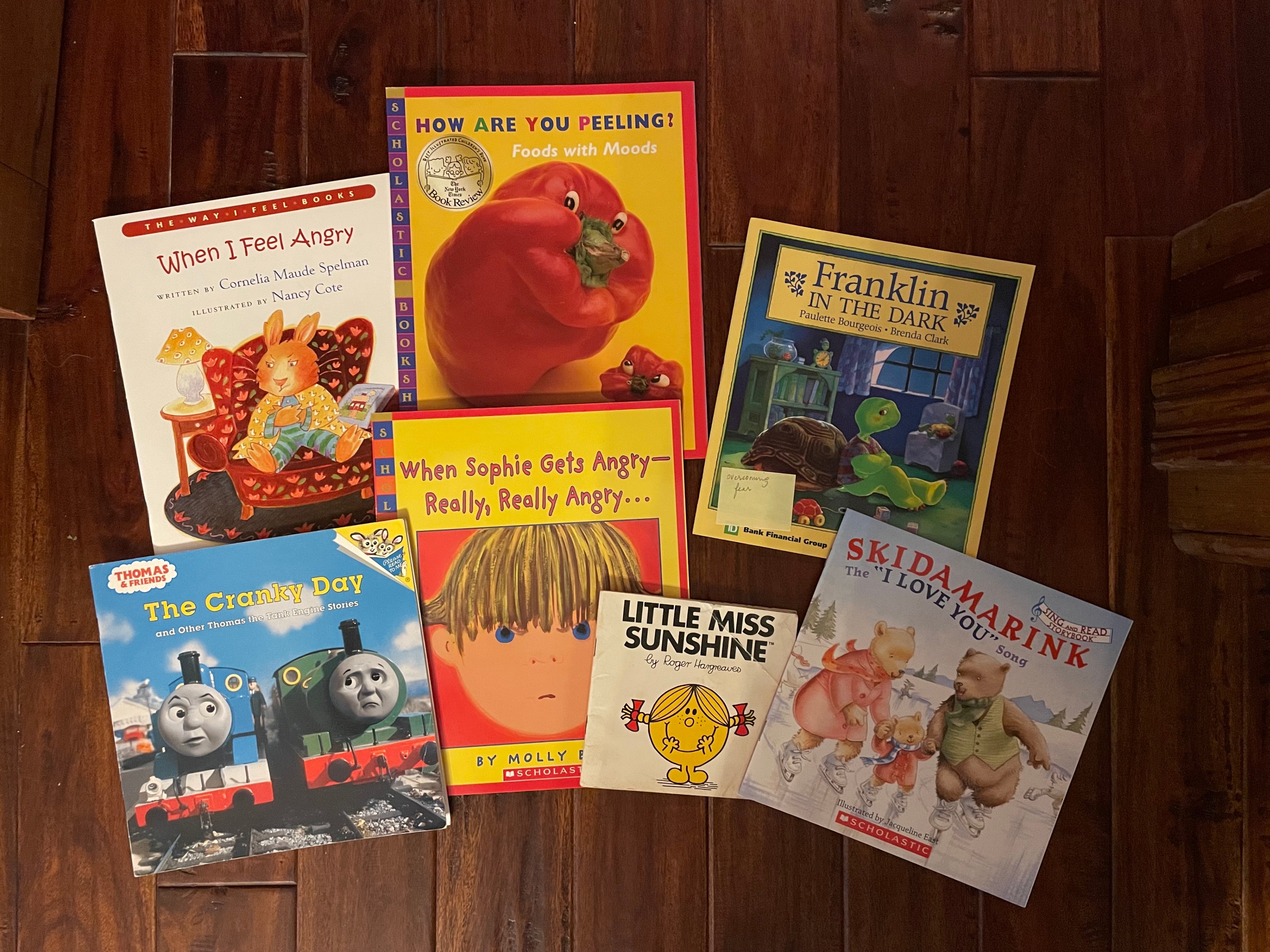 Equity, Incusion, Feelings Book Sets - Primary / Elementary - photo 3