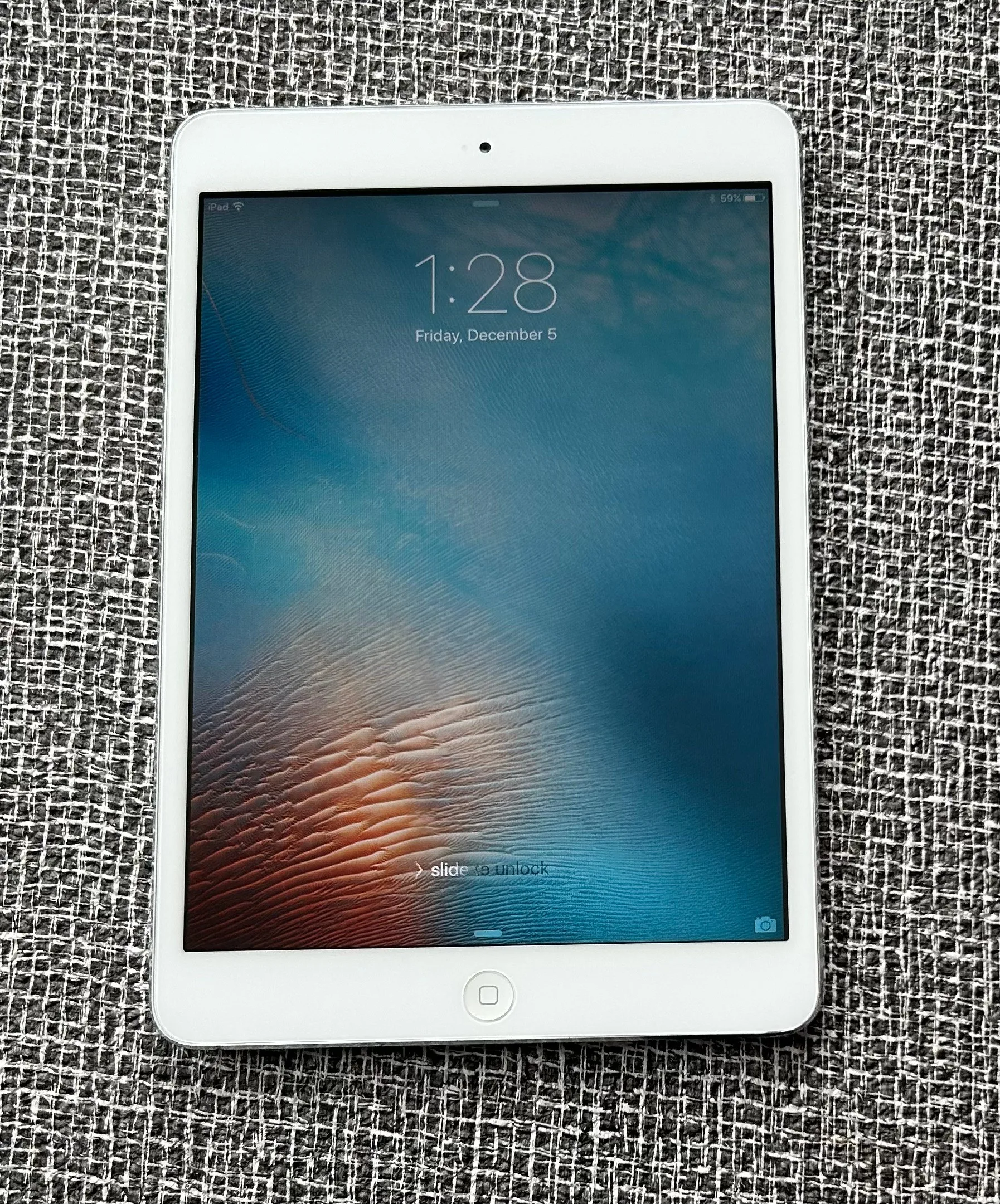 Silver iPad Mini (56 GB) image indicator(2)