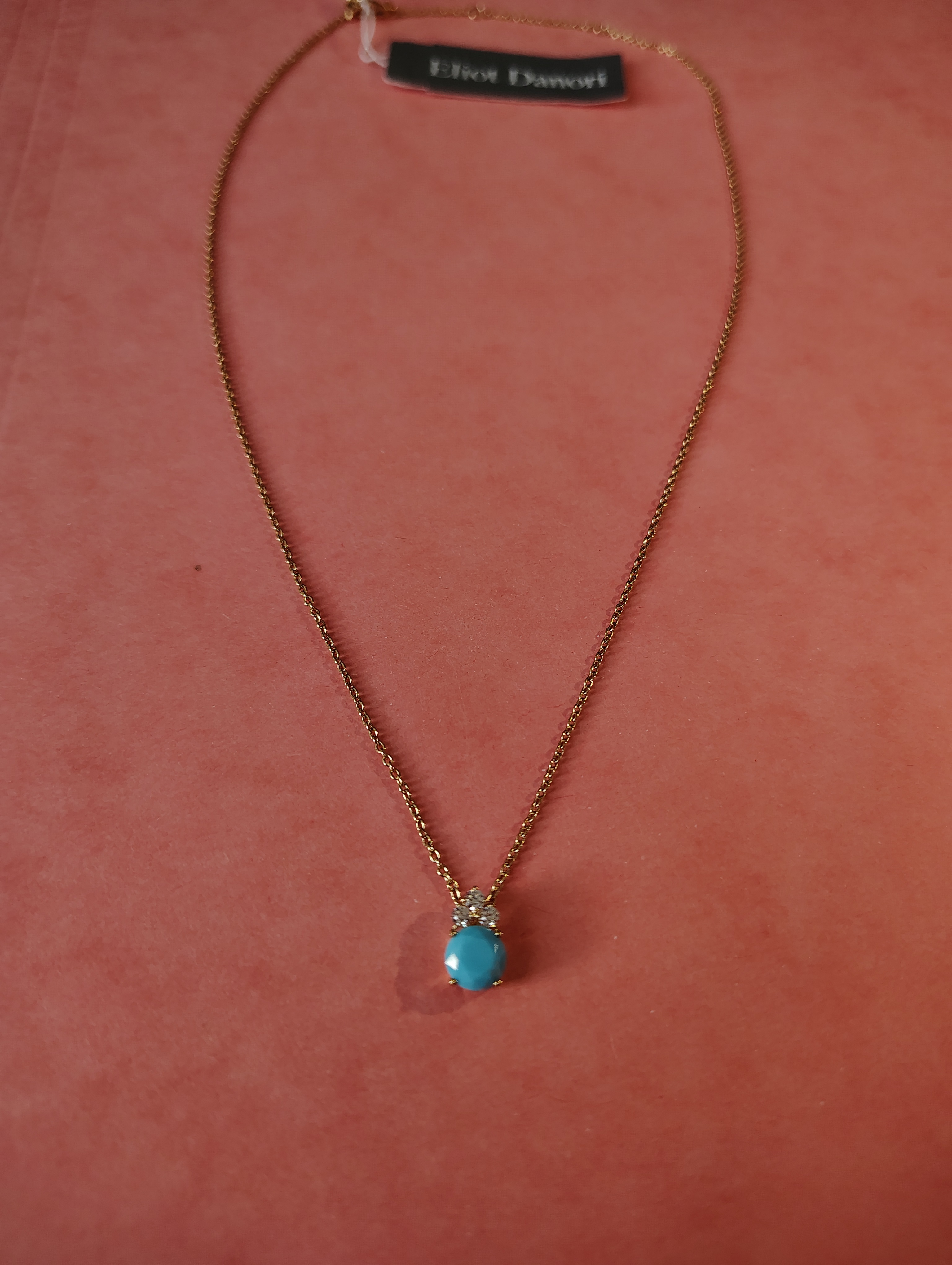 NEW NECKLACE- Eliot Danori (Macy's US price tag, Sale)
