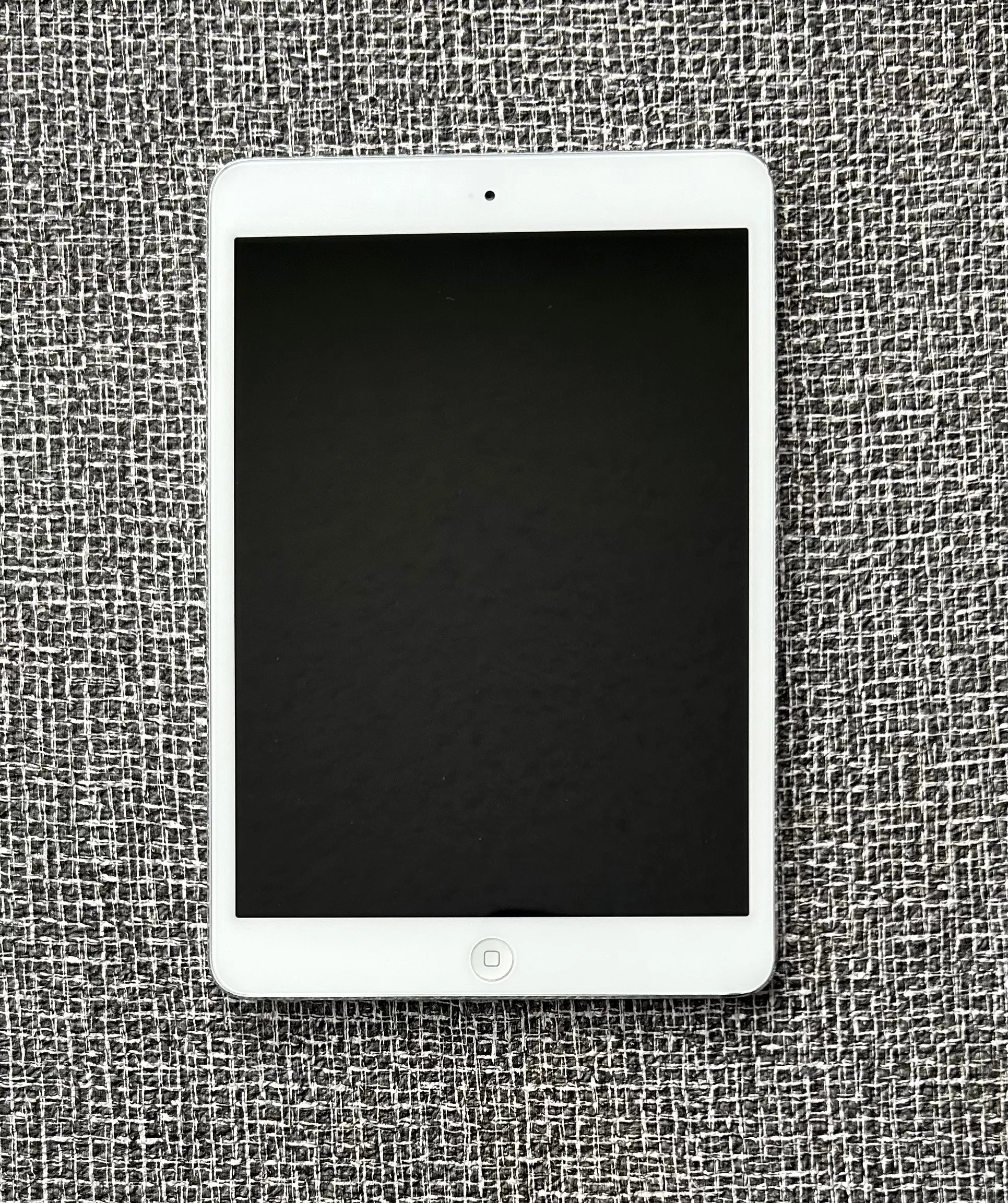 Silver iPad Mini (56 GB)