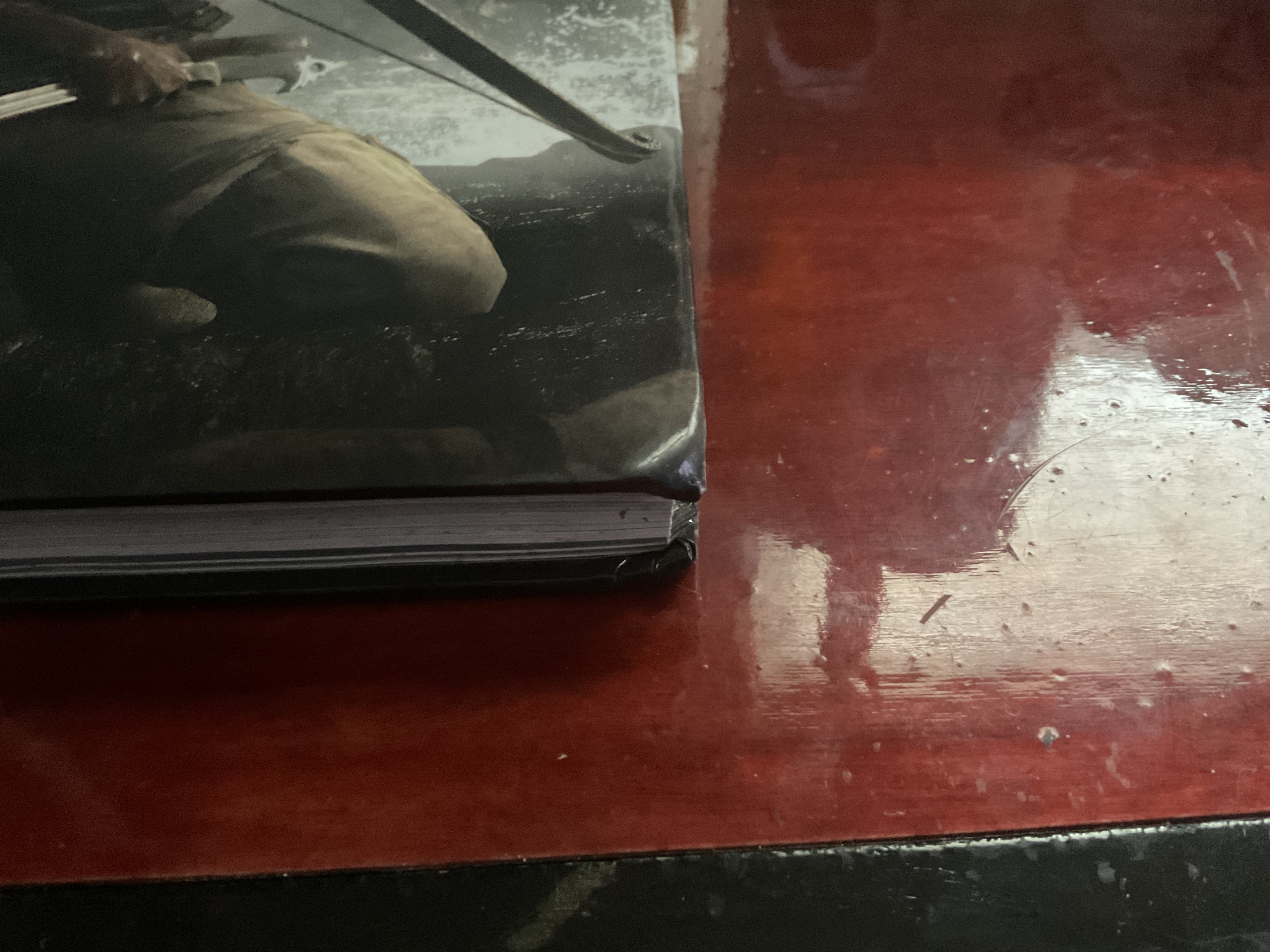 Tomb Raider Limited Edition Book - photo 2