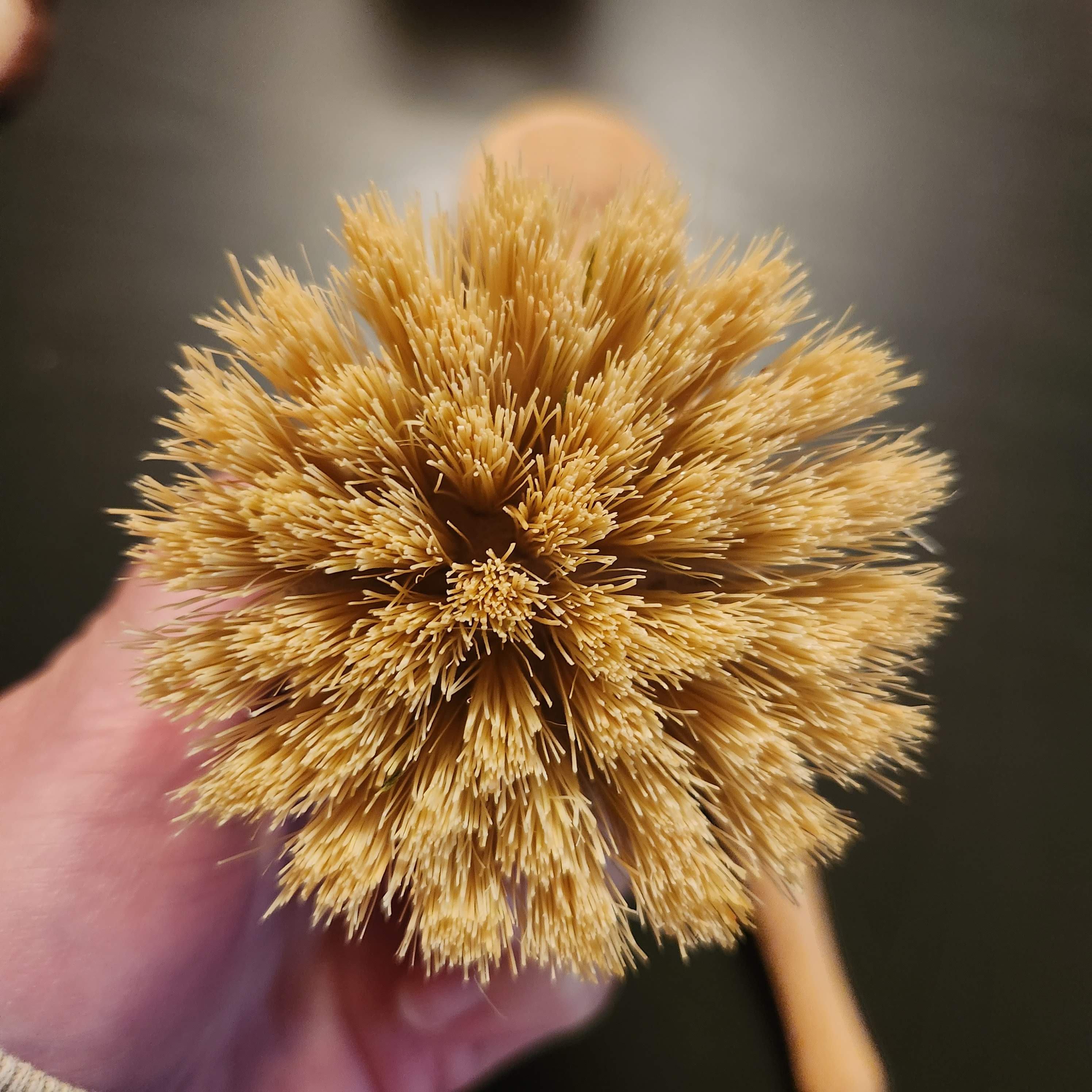 Brand New Scrubber Brush and Dish Brush - photo 2