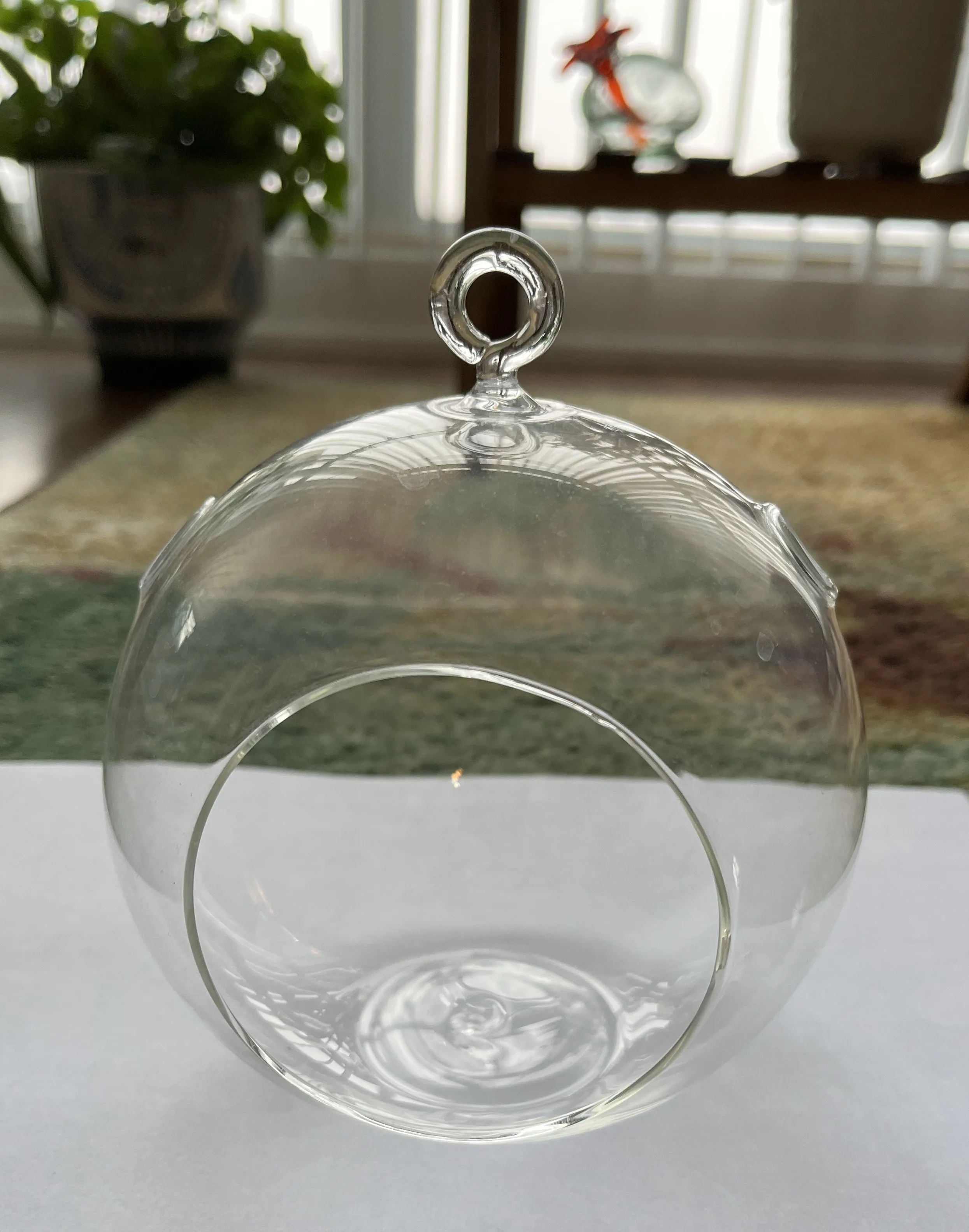 Clear Glass Hanging Terrarium #Cleanout
