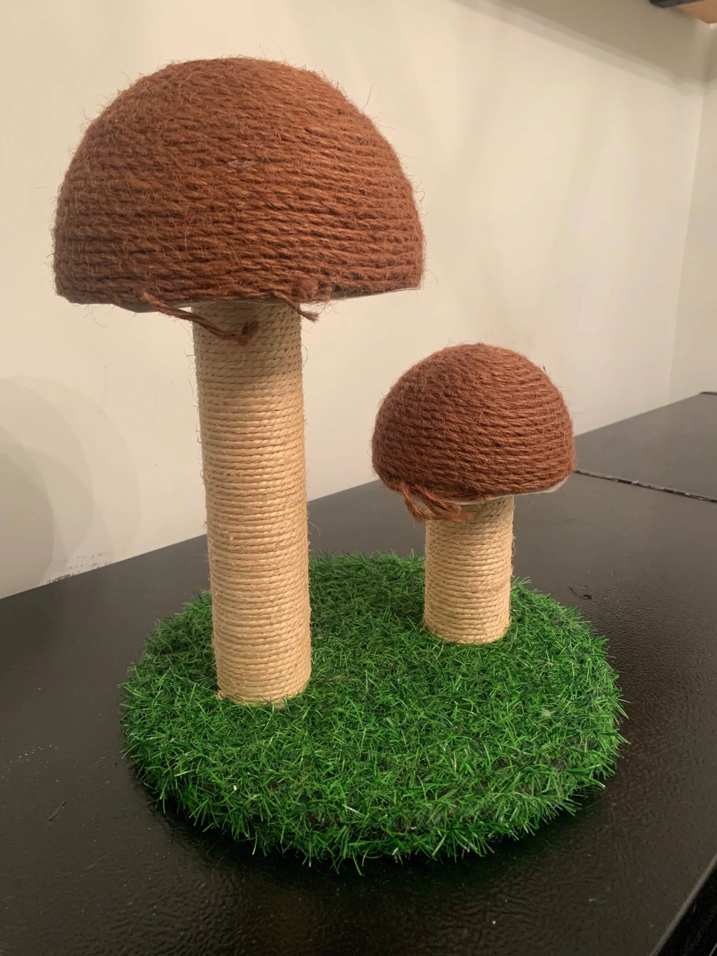 New Cat Scratching Post FOR KITTENS