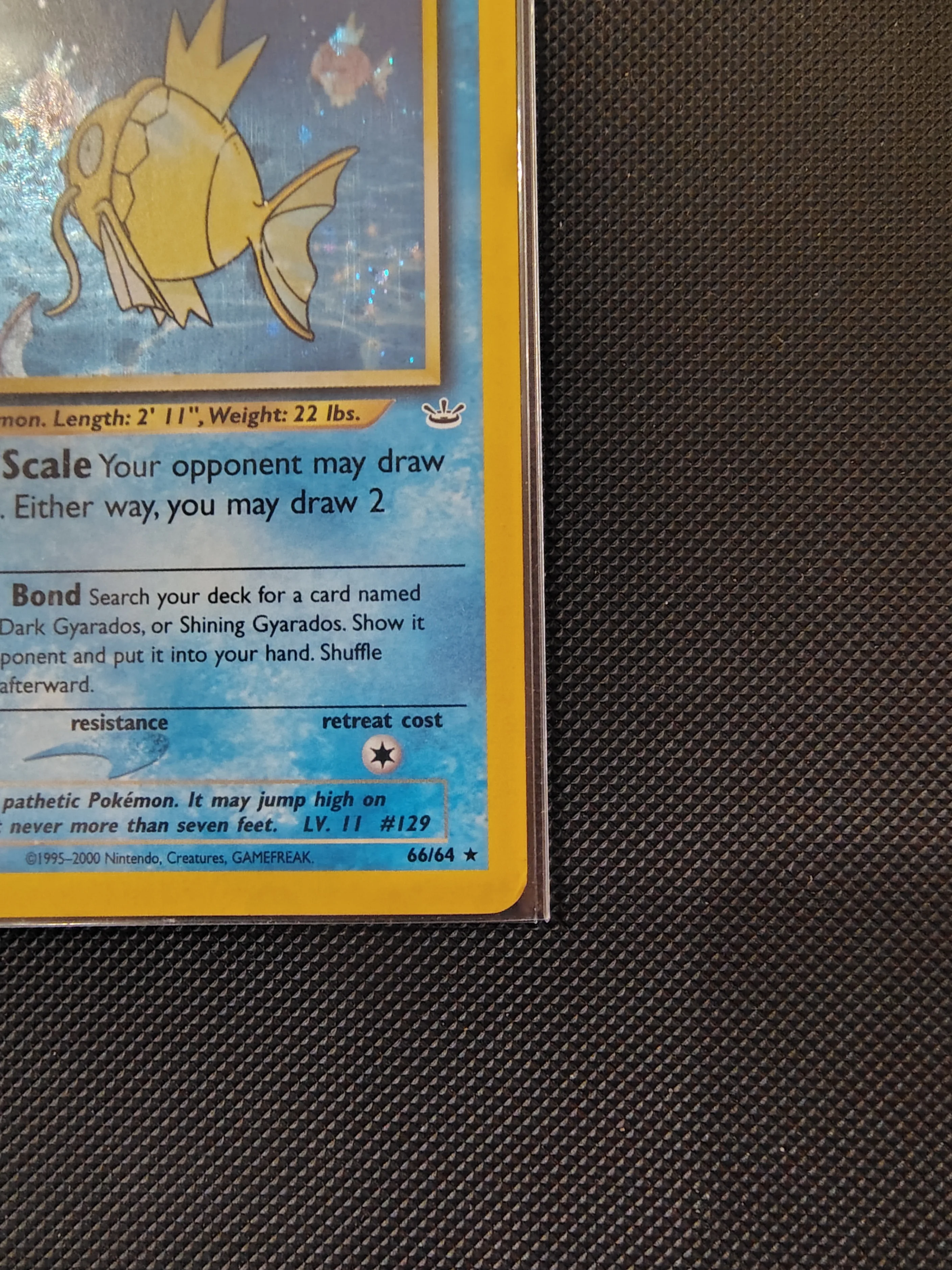 Shining Magikarp - Pokemon Card Neo Revelation image indicator(4)
