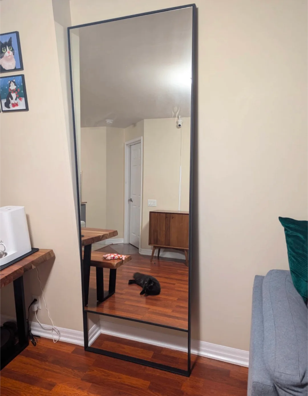 Full Length Mirror with Black Frame
