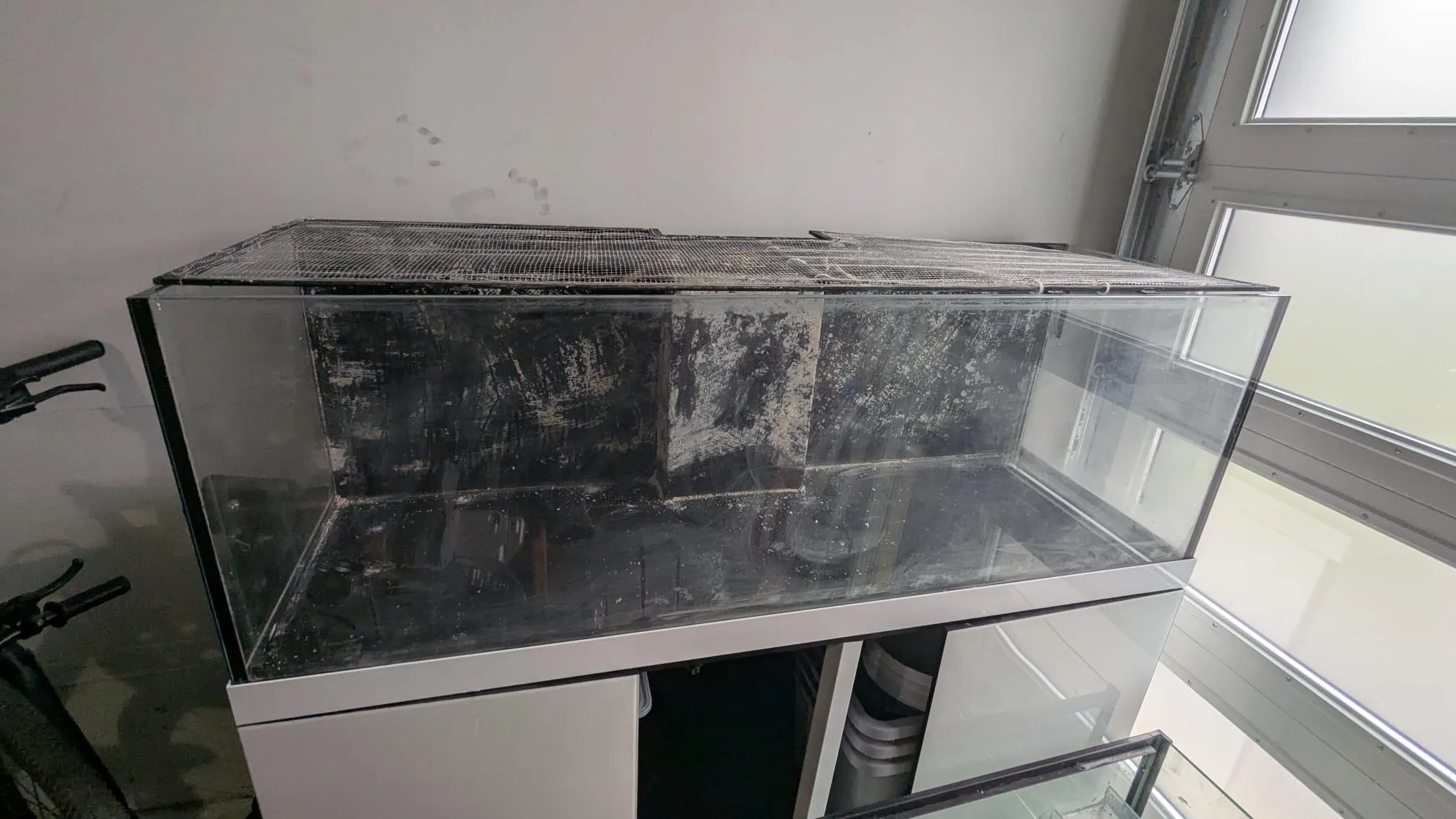 Pro clear tank around 95G