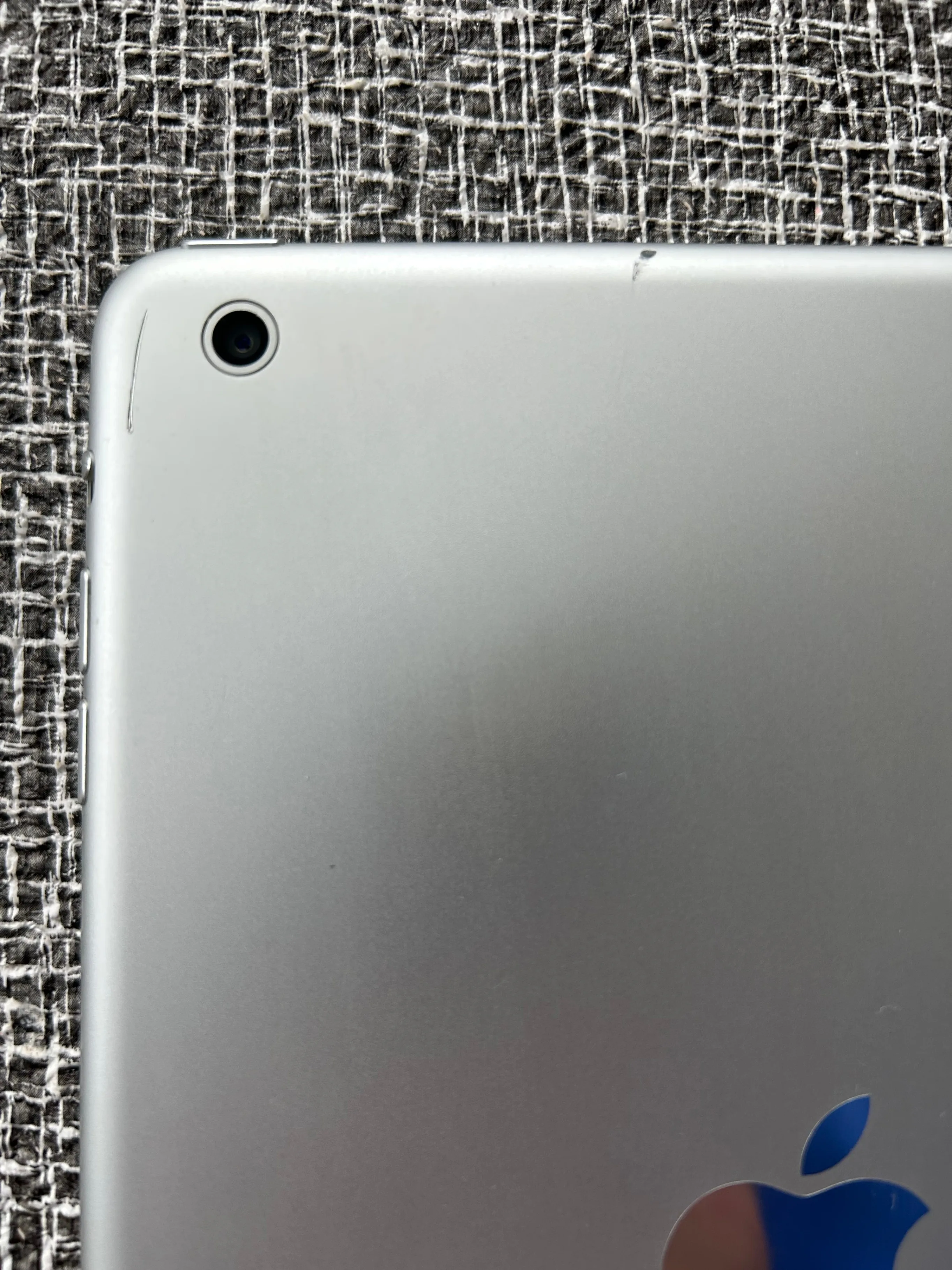 Silver iPad Mini (56 GB) image indicator(4)