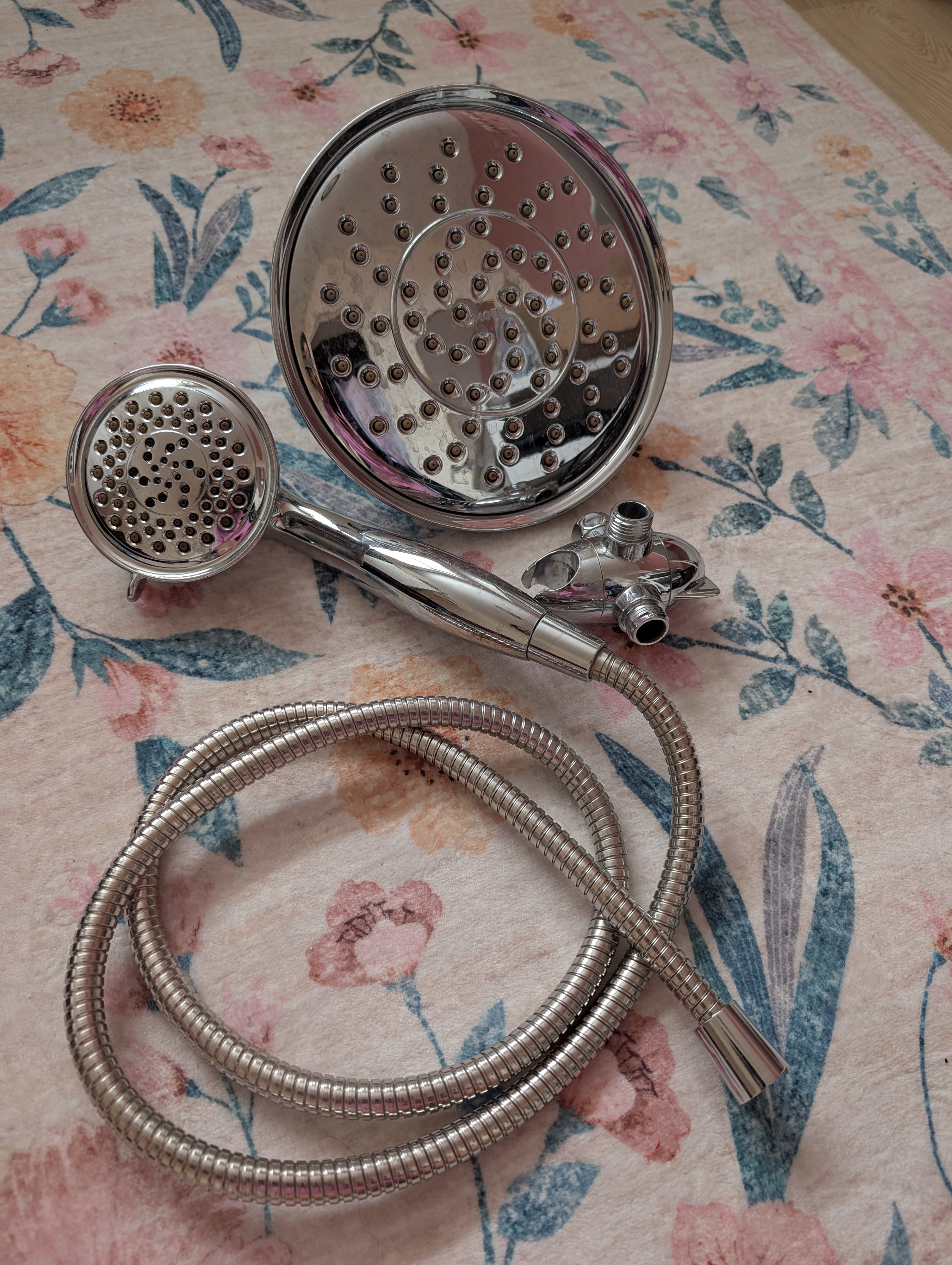 Moen Shower Head with Hose and Mount