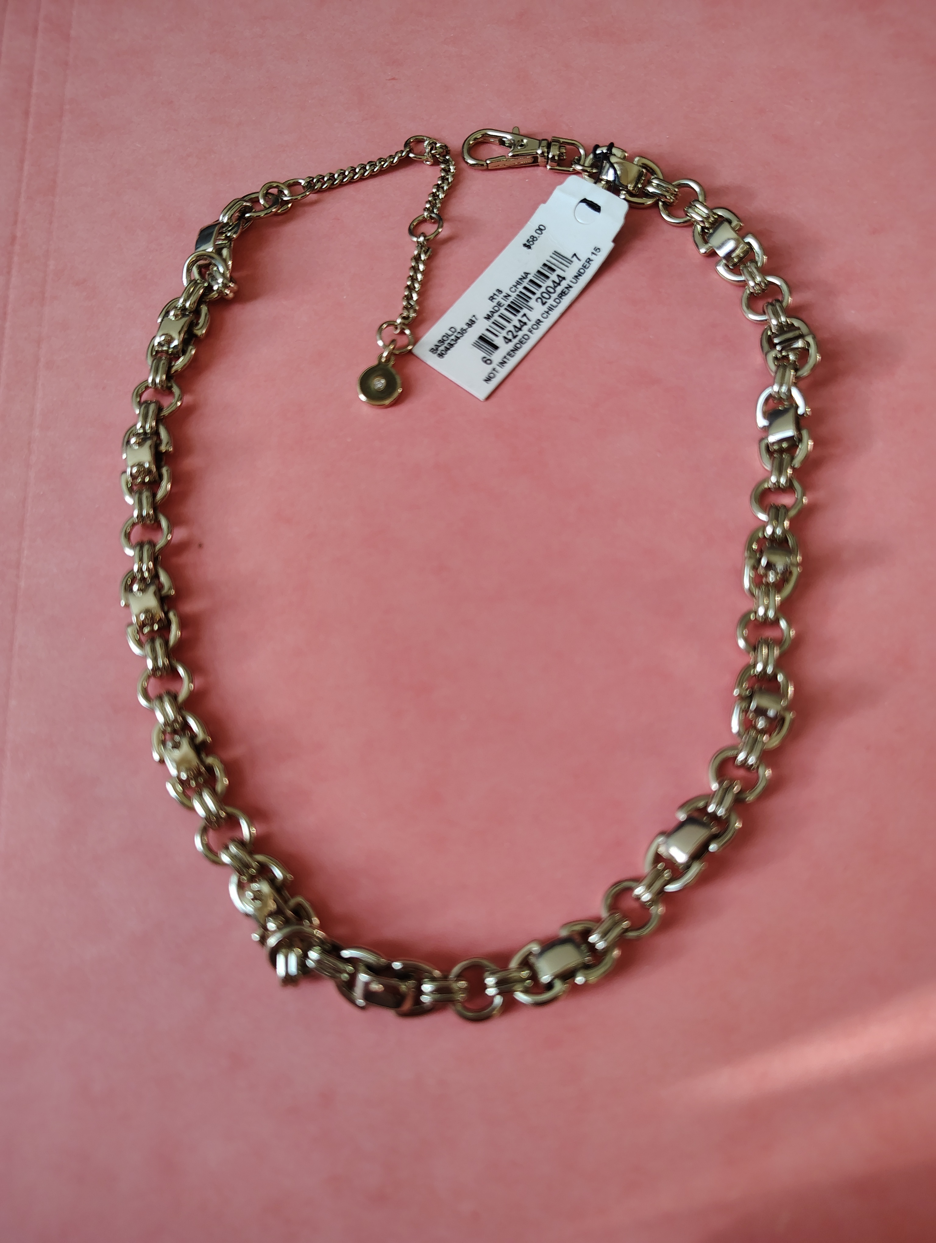 NEW NECKLACE- DKNY (Macy's US price tag, Sale)