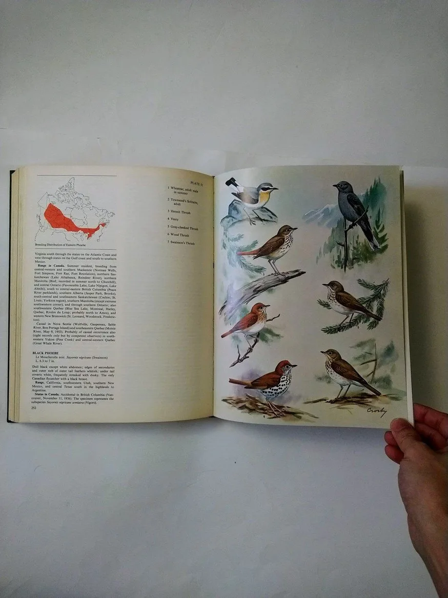 The Birds of Canada! image indicator(5)