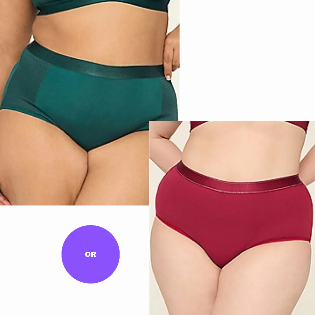 18/20 Lane Bryant Cotton Full Brief Panty With Wide Waistband