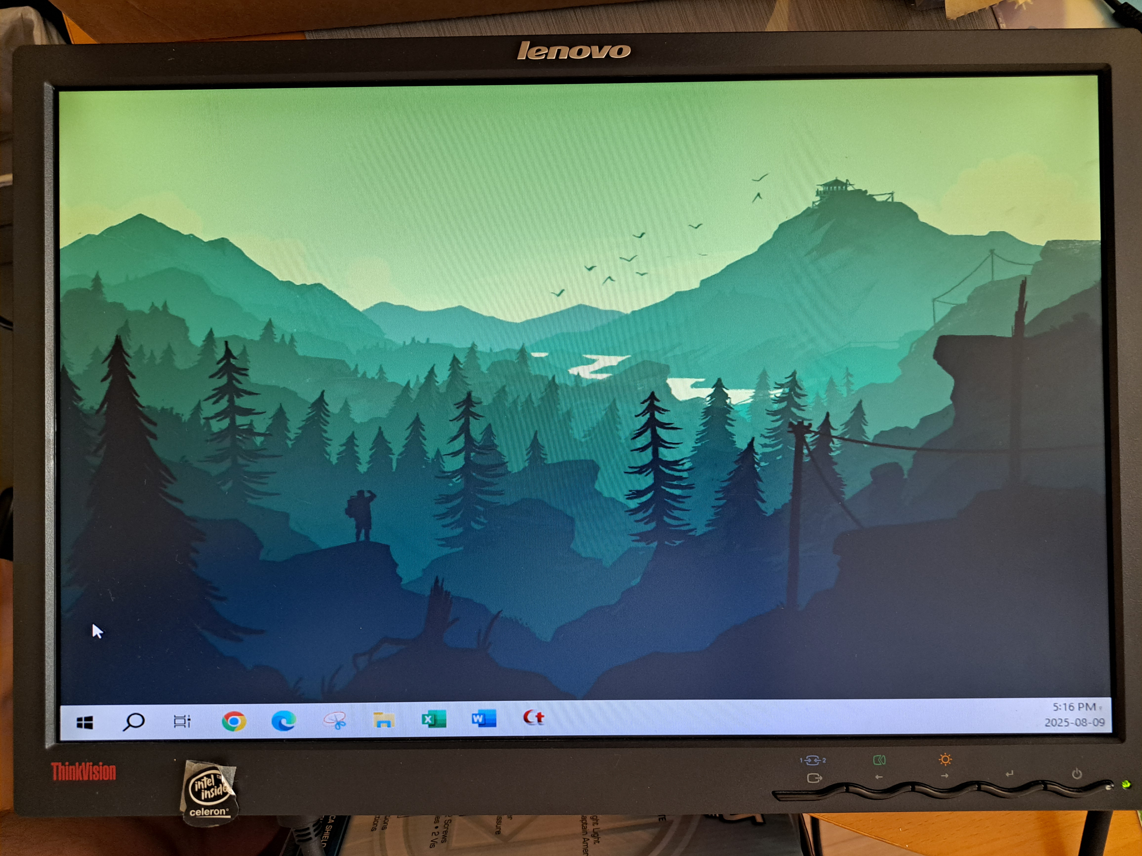 19" Lenovo ThinkVision Monitor (L197wAs)