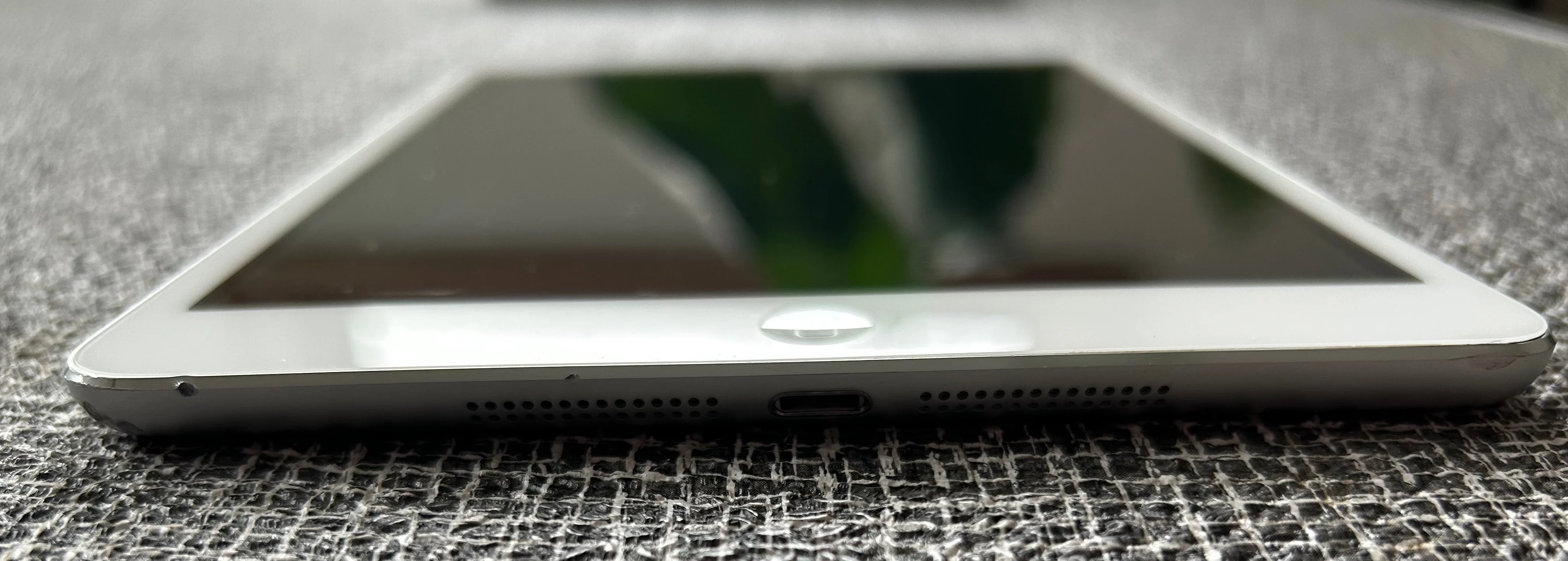 Silver iPad Mini (56 GB) image indicator(5)