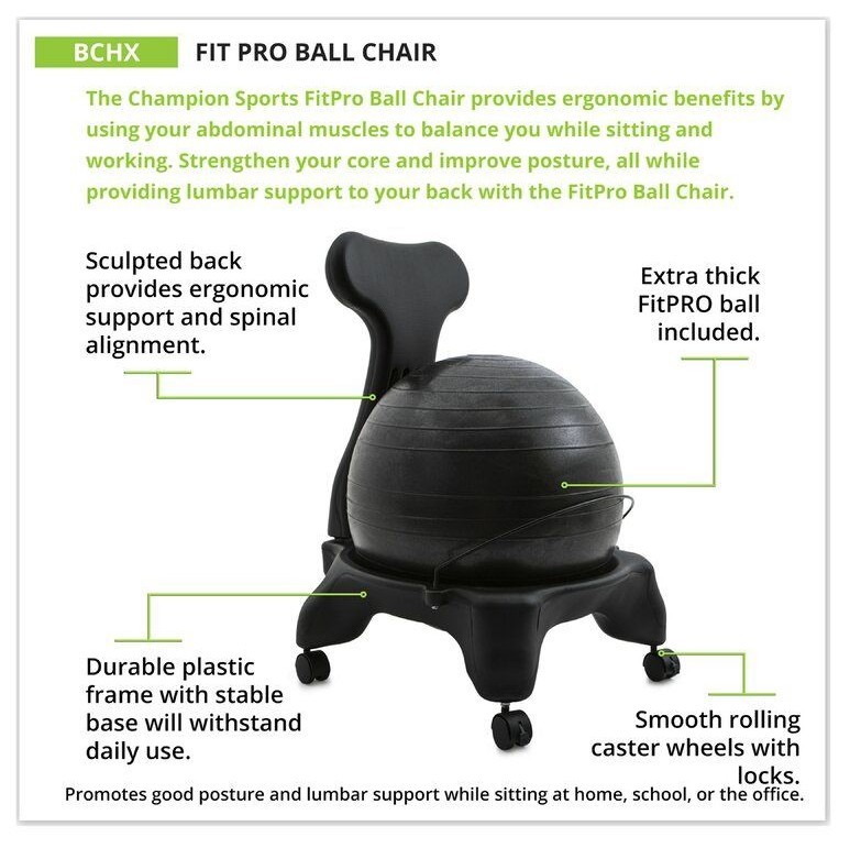 Backed Ergonomic Yoga Ball Chair - photo 3