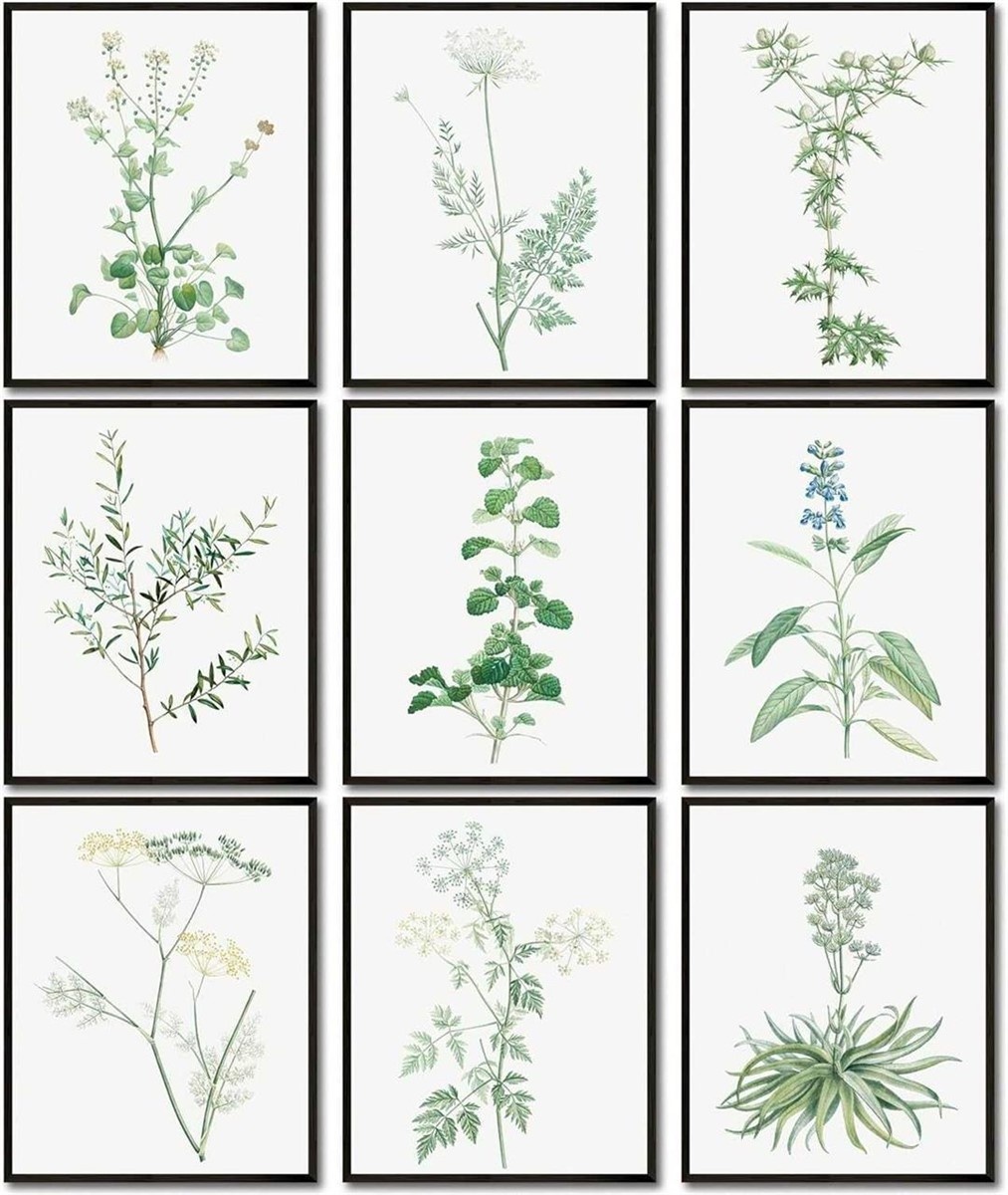 Botanical Wall Art Set 9 Pieces