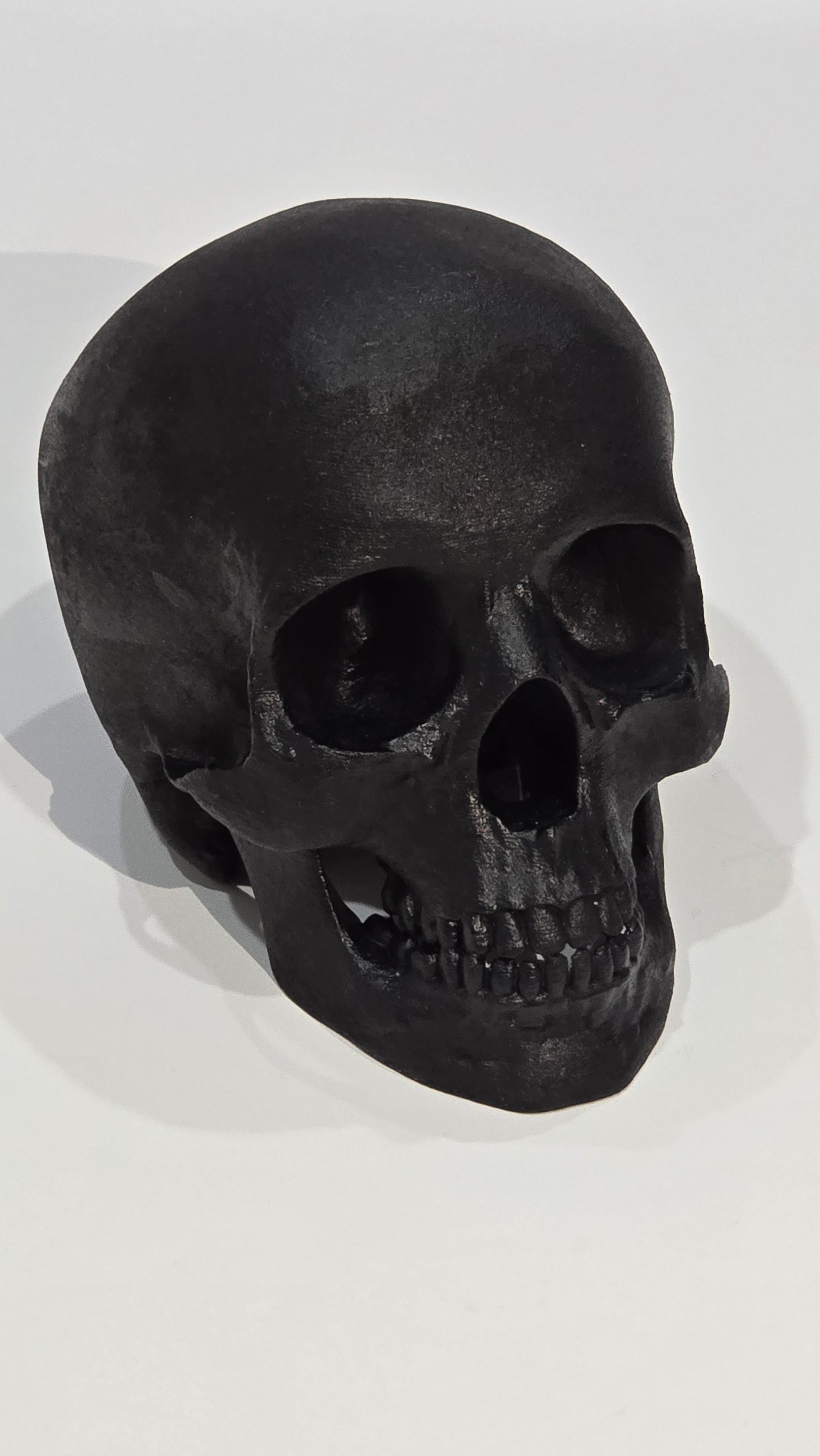 SOLID GOLD/BLACK PAINTED SKULL MODEL - photo 3