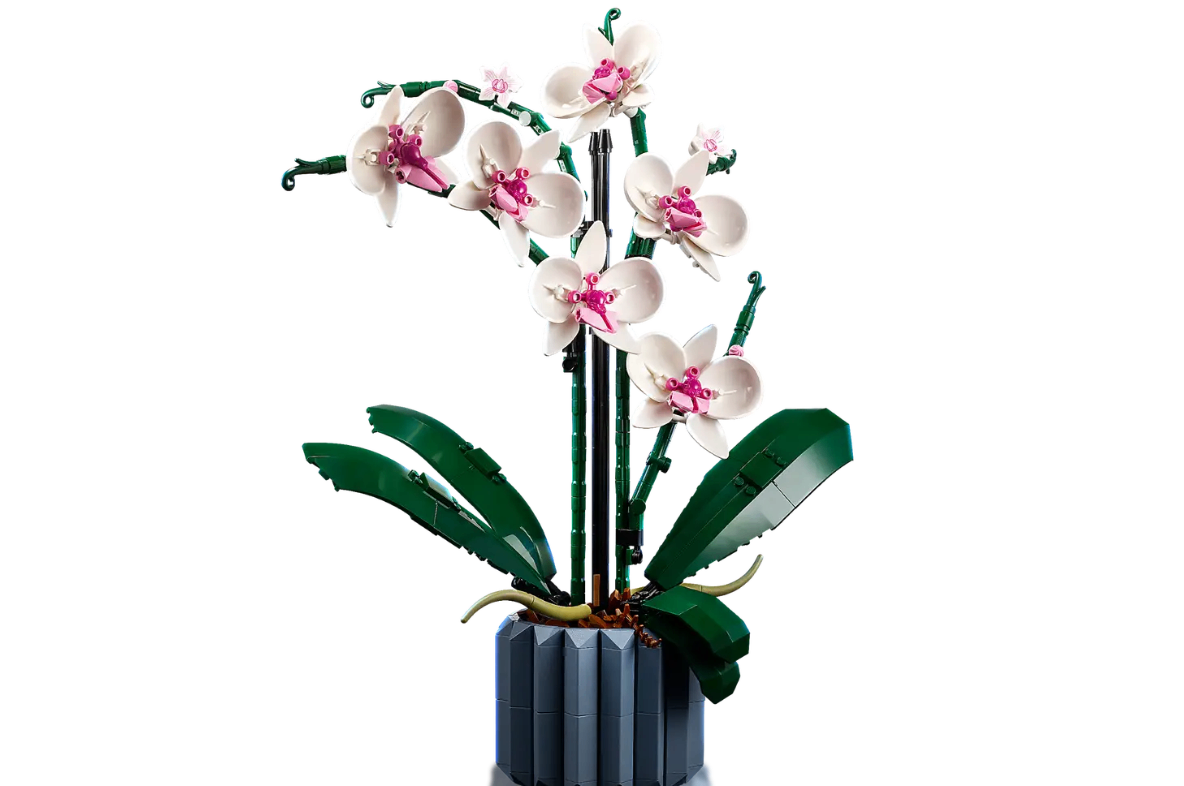 LEGO Architecture & Botanical Collection Bundle – 3 Iconic Sets - photo 2