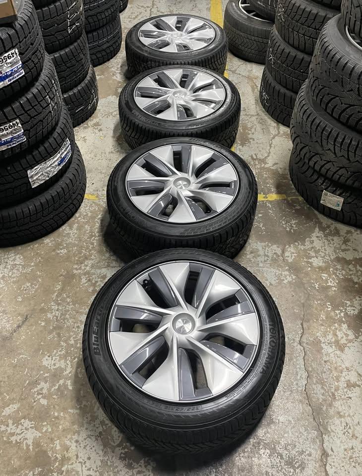 19 Inch Tesla Y Winter Package Used