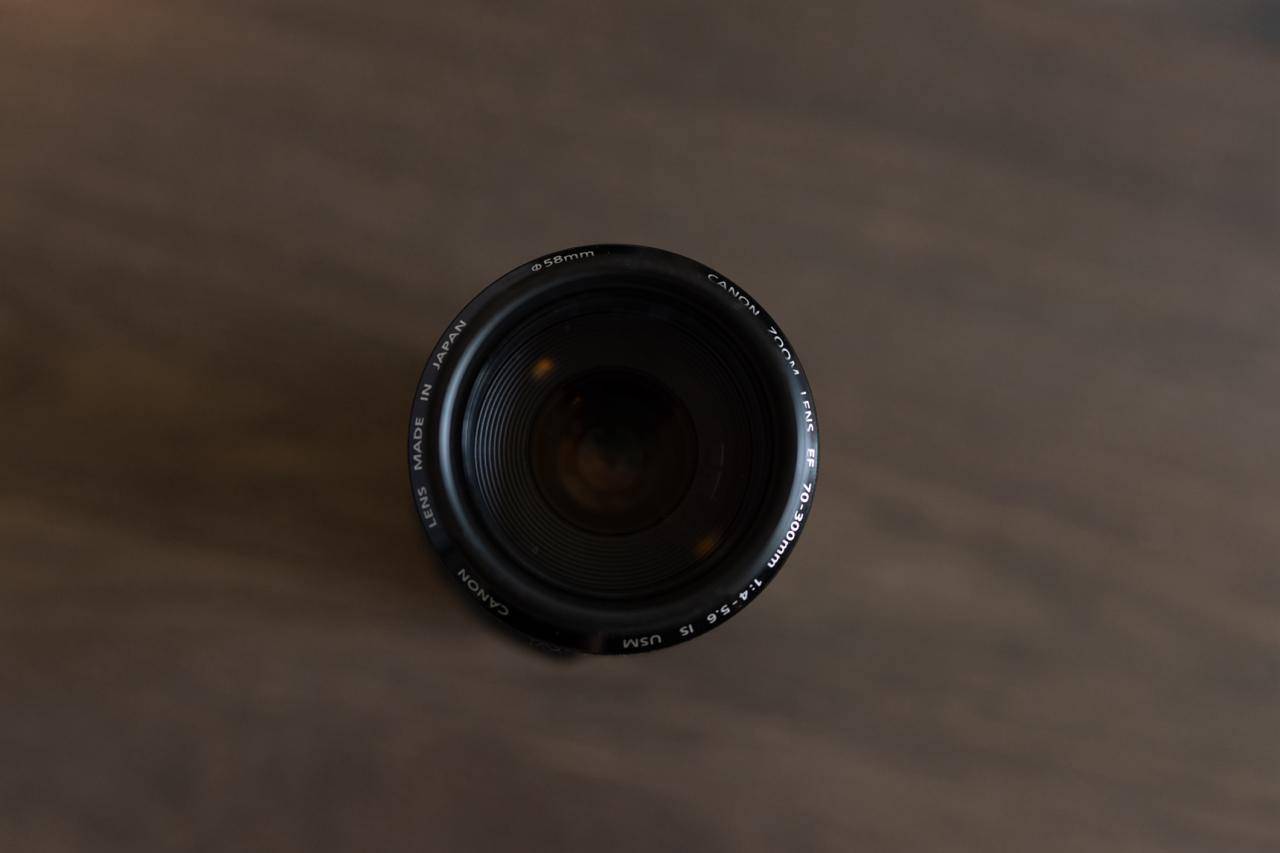 Canon EF 70-300mm f/4-5.6 IS USM — versatile telephoto - photo 3