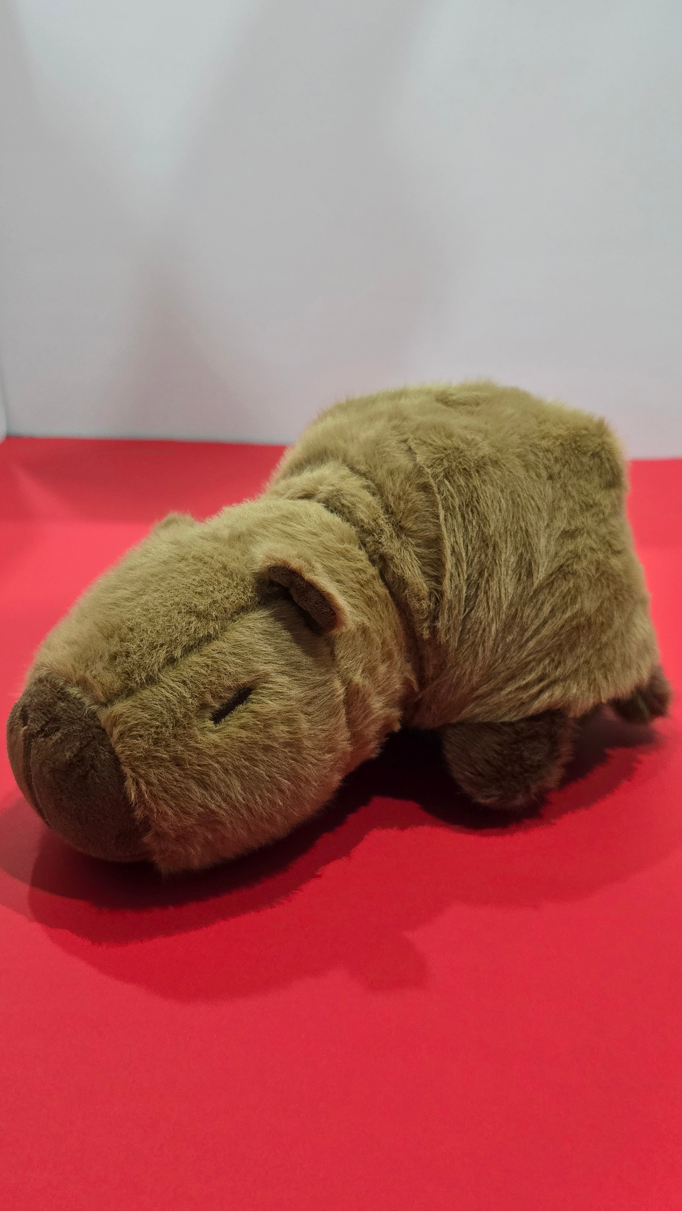 2 IN 1 PLUSHY
