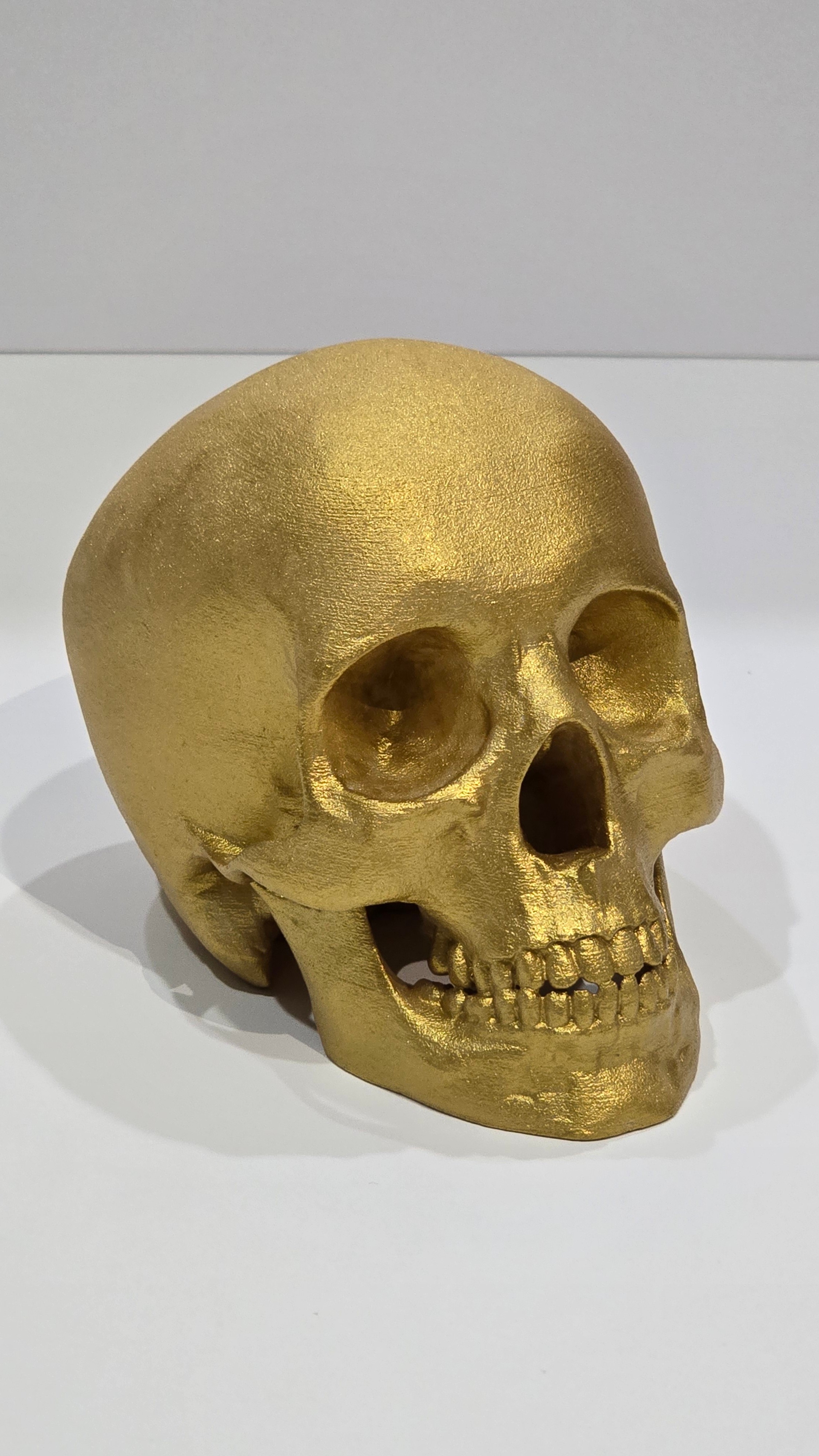 SOLID GOLD/BLACK PAINTED SKULL MODEL