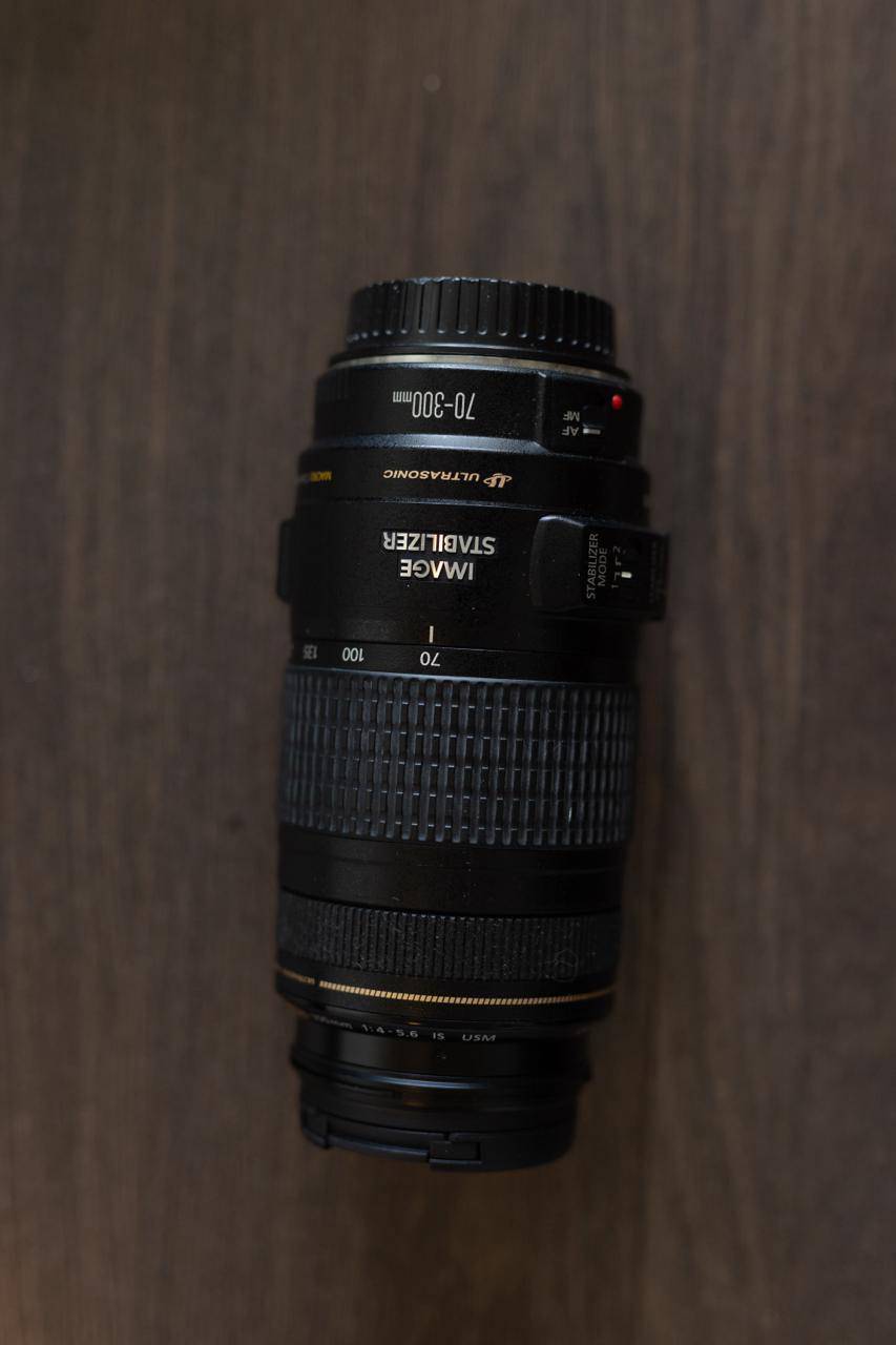 Canon EF 70-300mm f/4-5.6 IS USM — versatile telephoto - photo 2