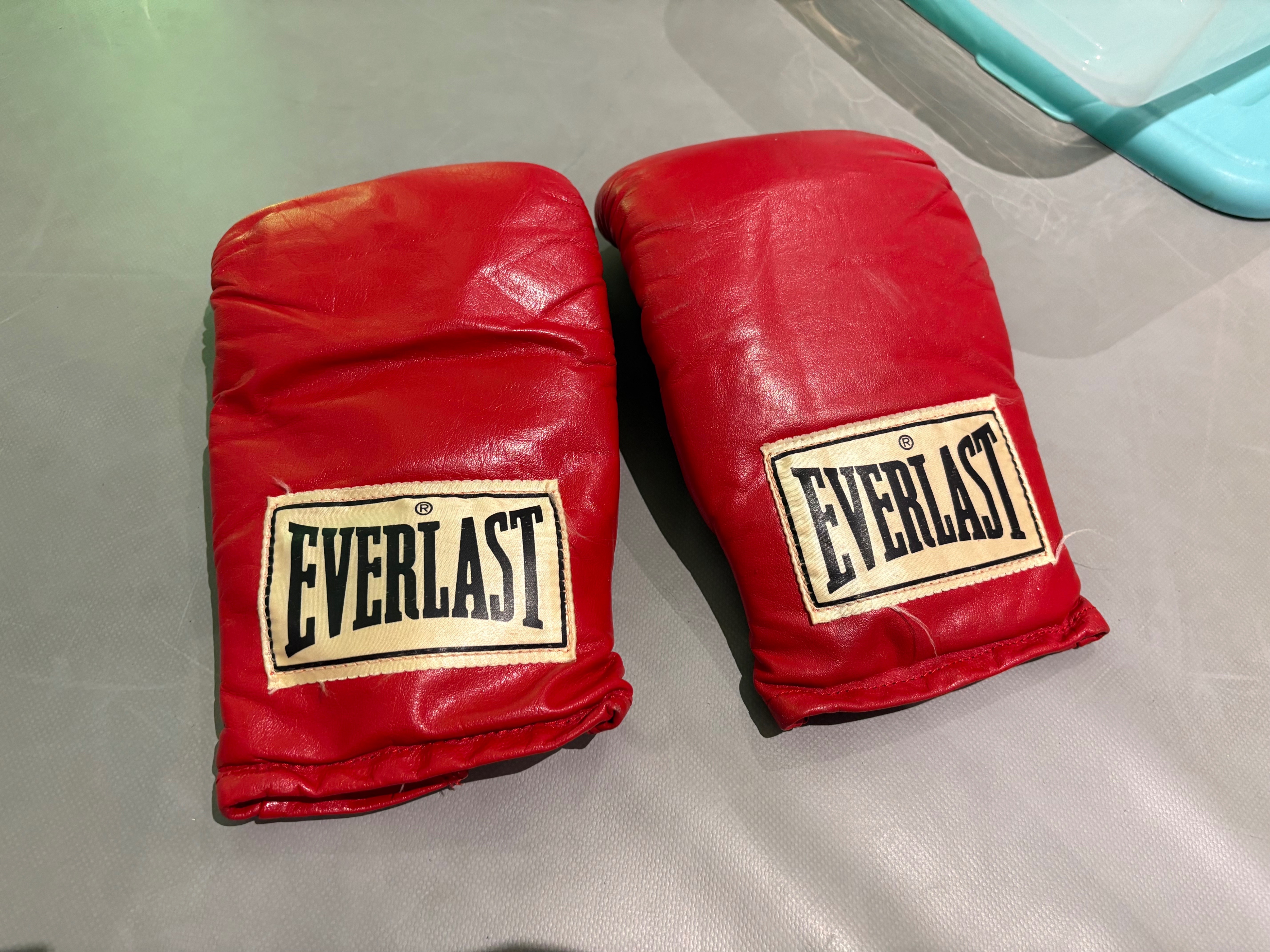 Everlast Vintage Leather Boxing Gloves