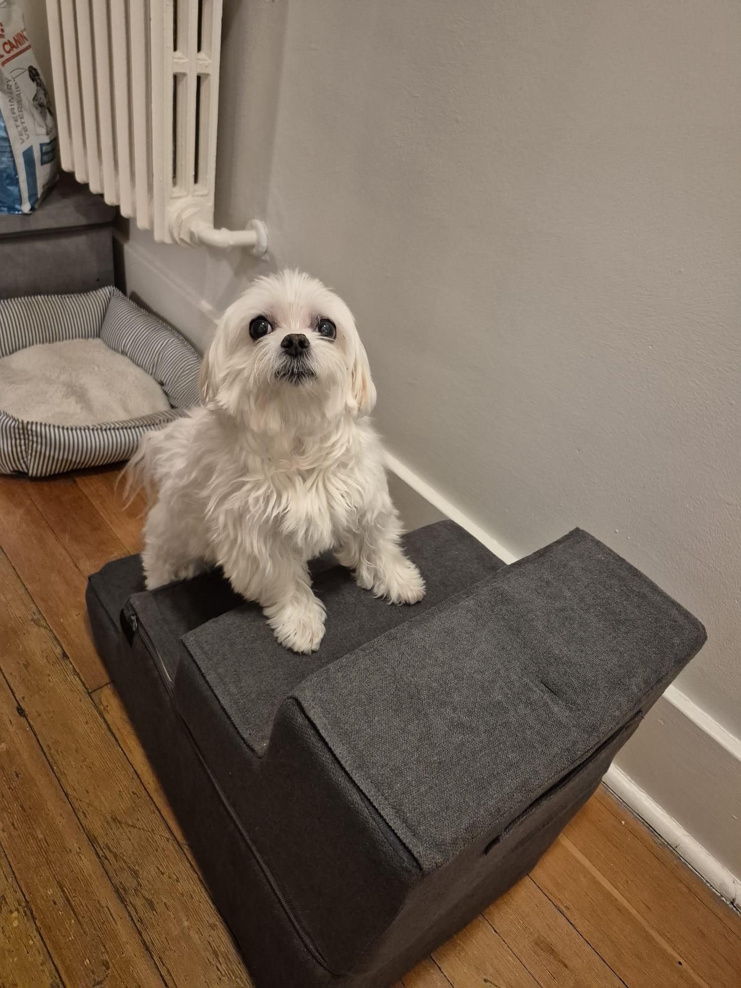 Made4Pets Dog Stairs for Small Dogs - photo 3