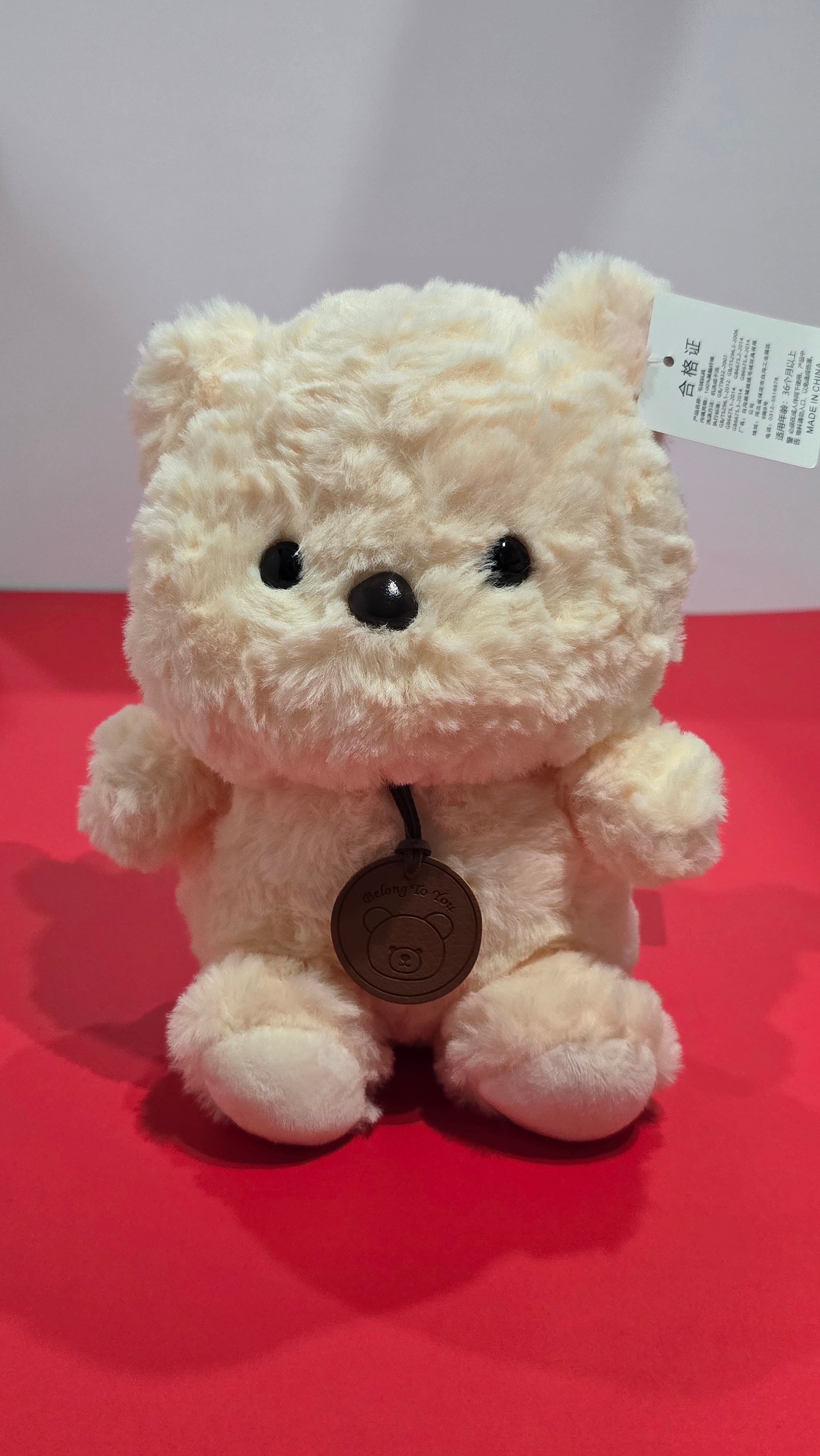 CUTE TEDDY PLUSHY