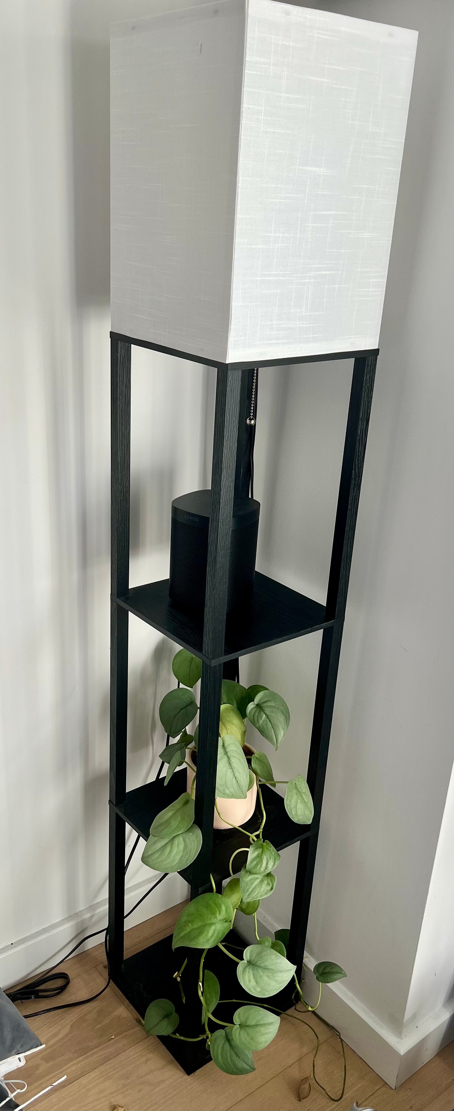 Dott Arts Floor Lamp with Shelves, 3 Color LED Bulb White)