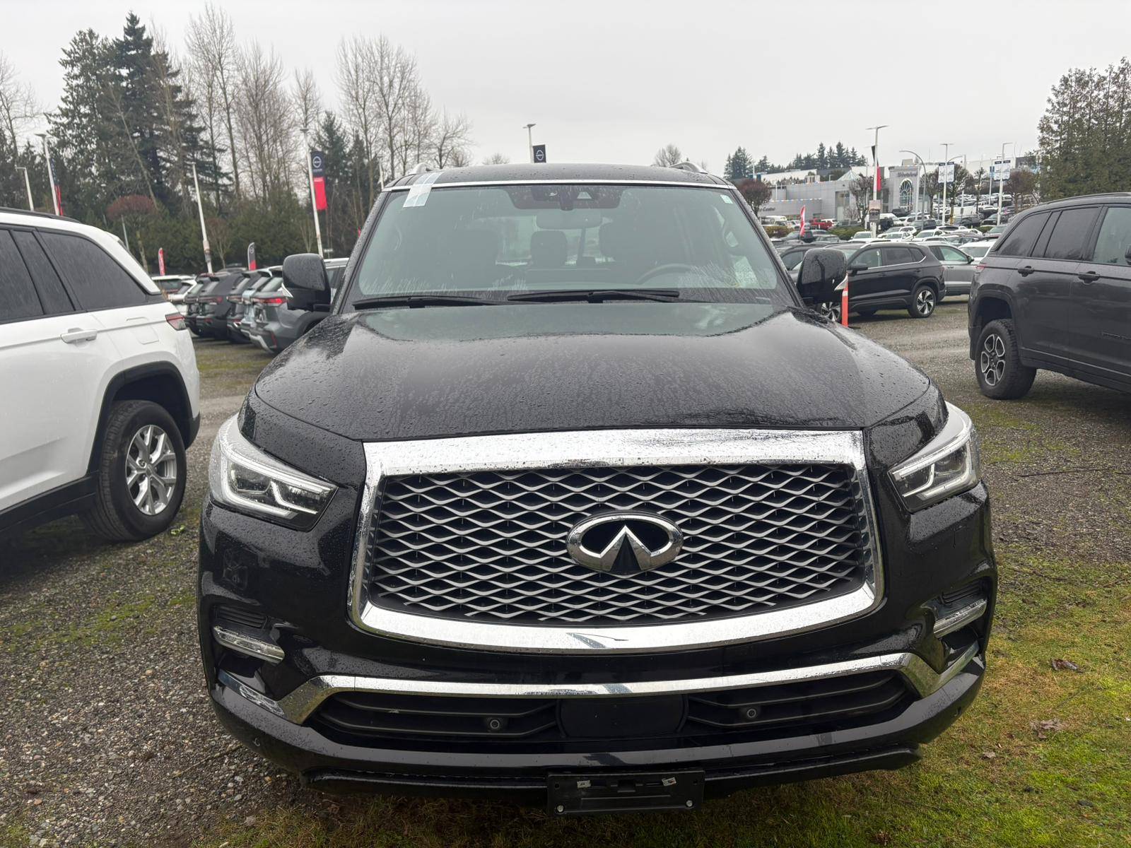2024 Infiniti QX80 - photo 2