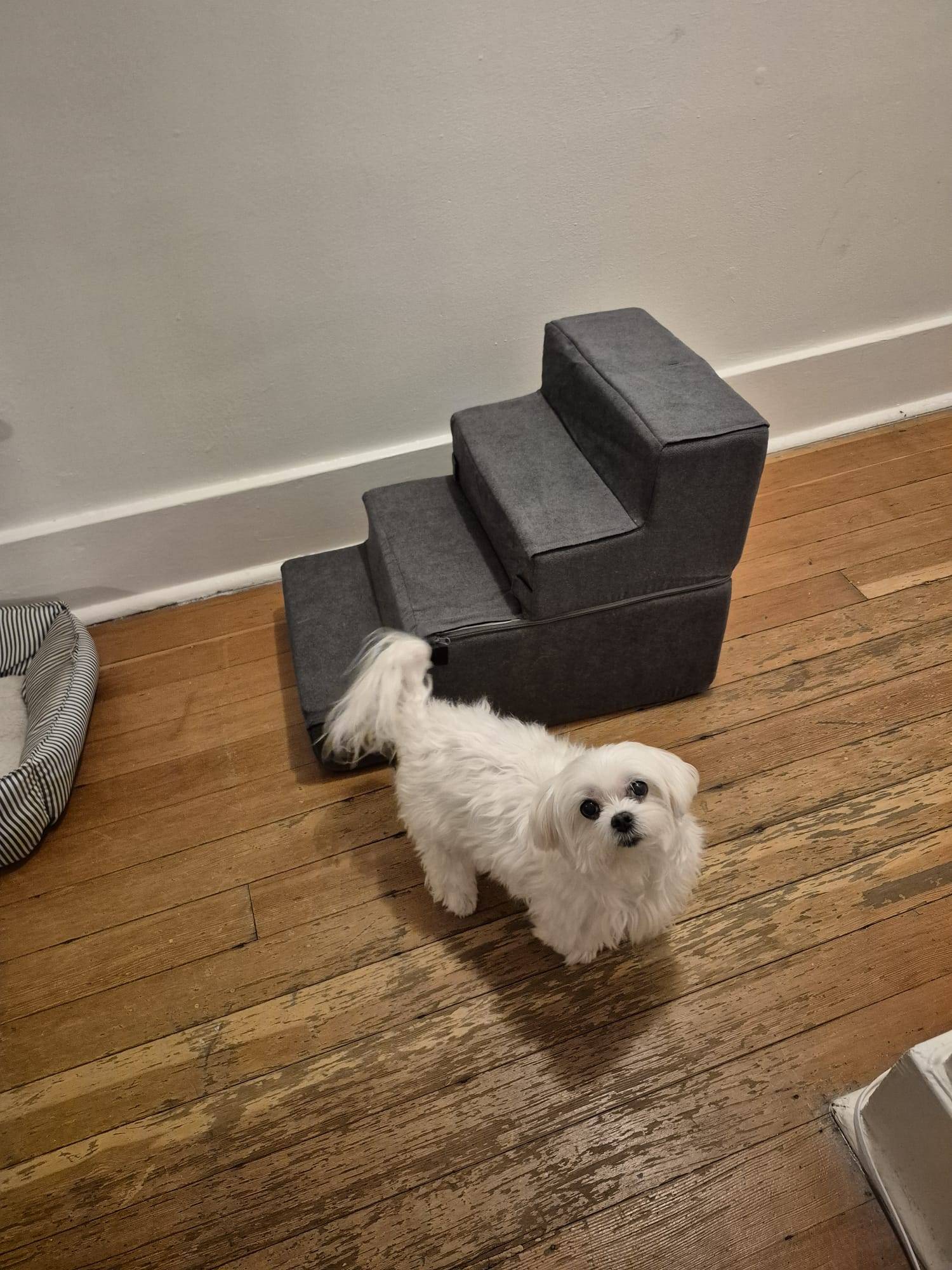 Made4Pets Dog Stairs for Small Dogs